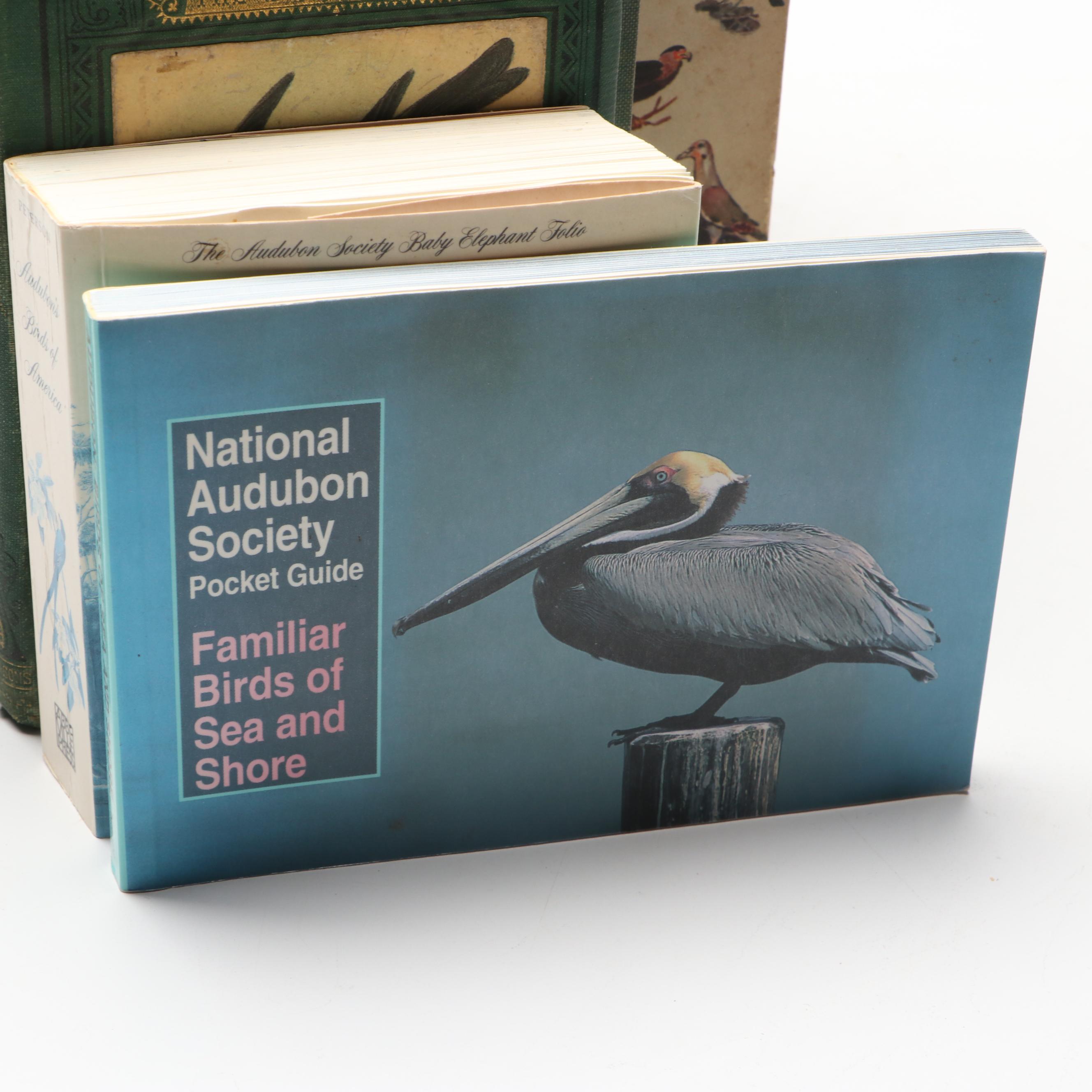 "American Birds in Color: Land Birds" by Hal. H. Harrison and More Nature Books