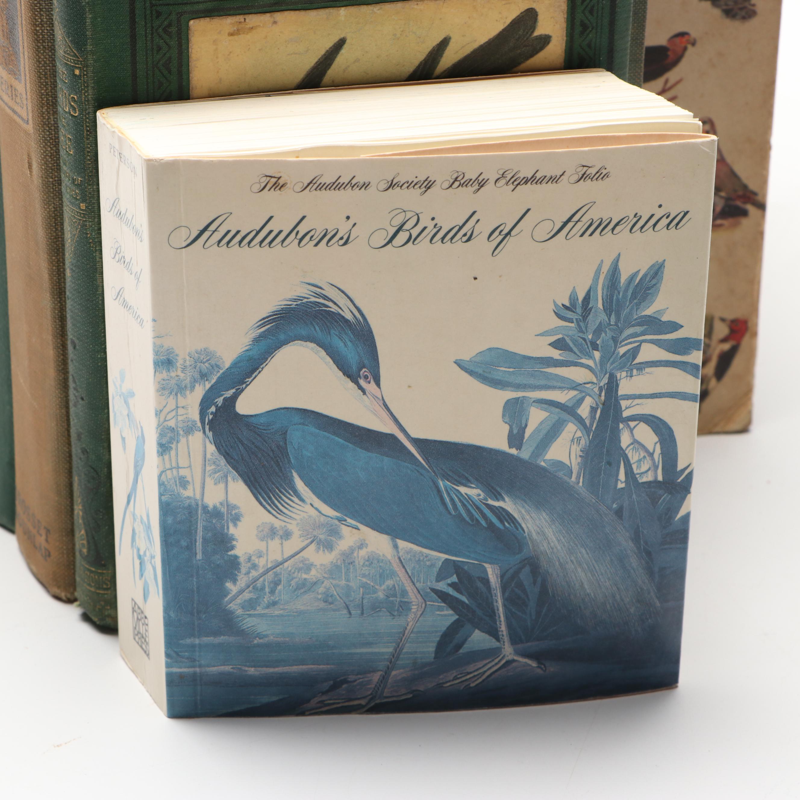 "American Birds in Color: Land Birds" by Hal. H. Harrison and More Nature Books