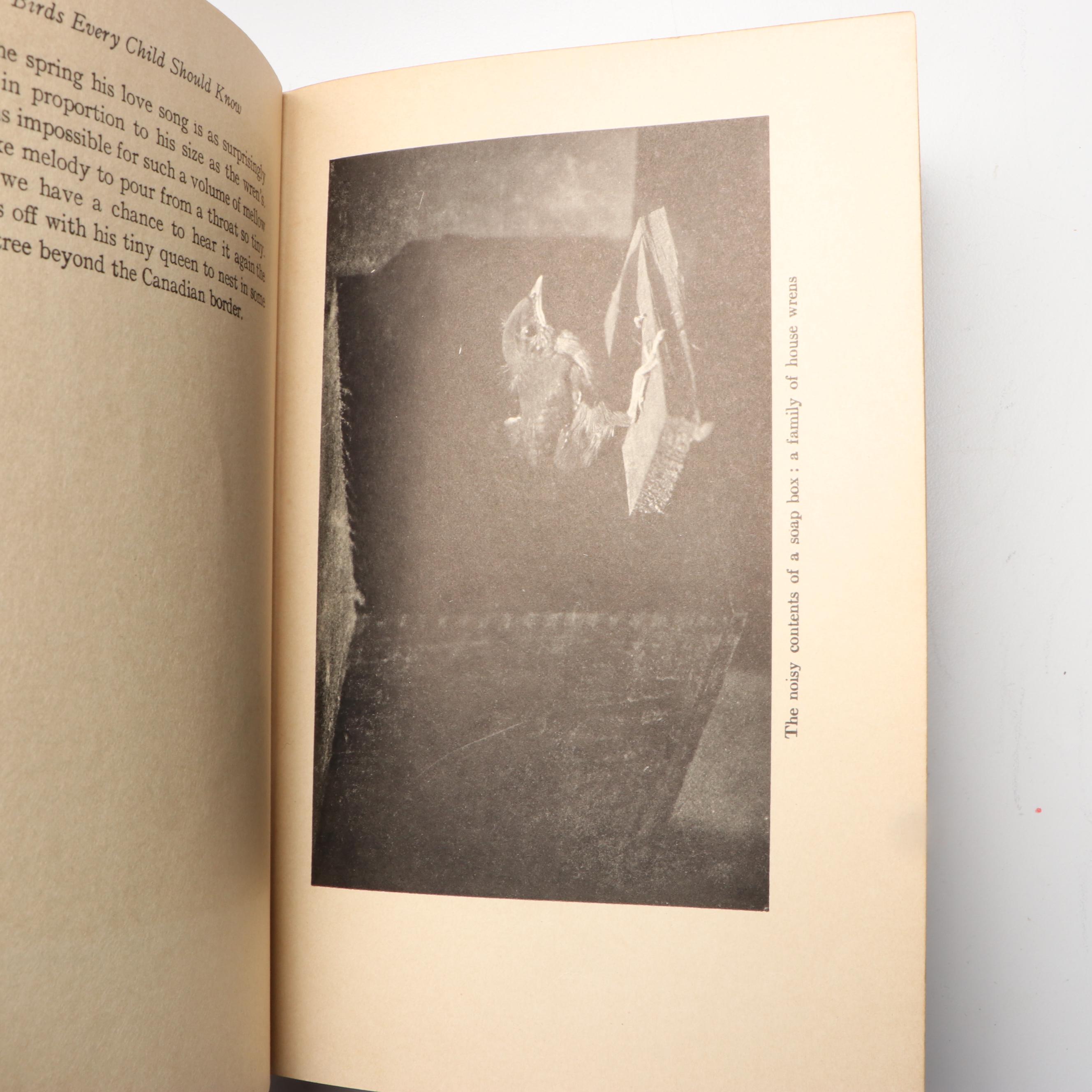 "American Birds in Color: Land Birds" by Hal. H. Harrison and More Nature Books