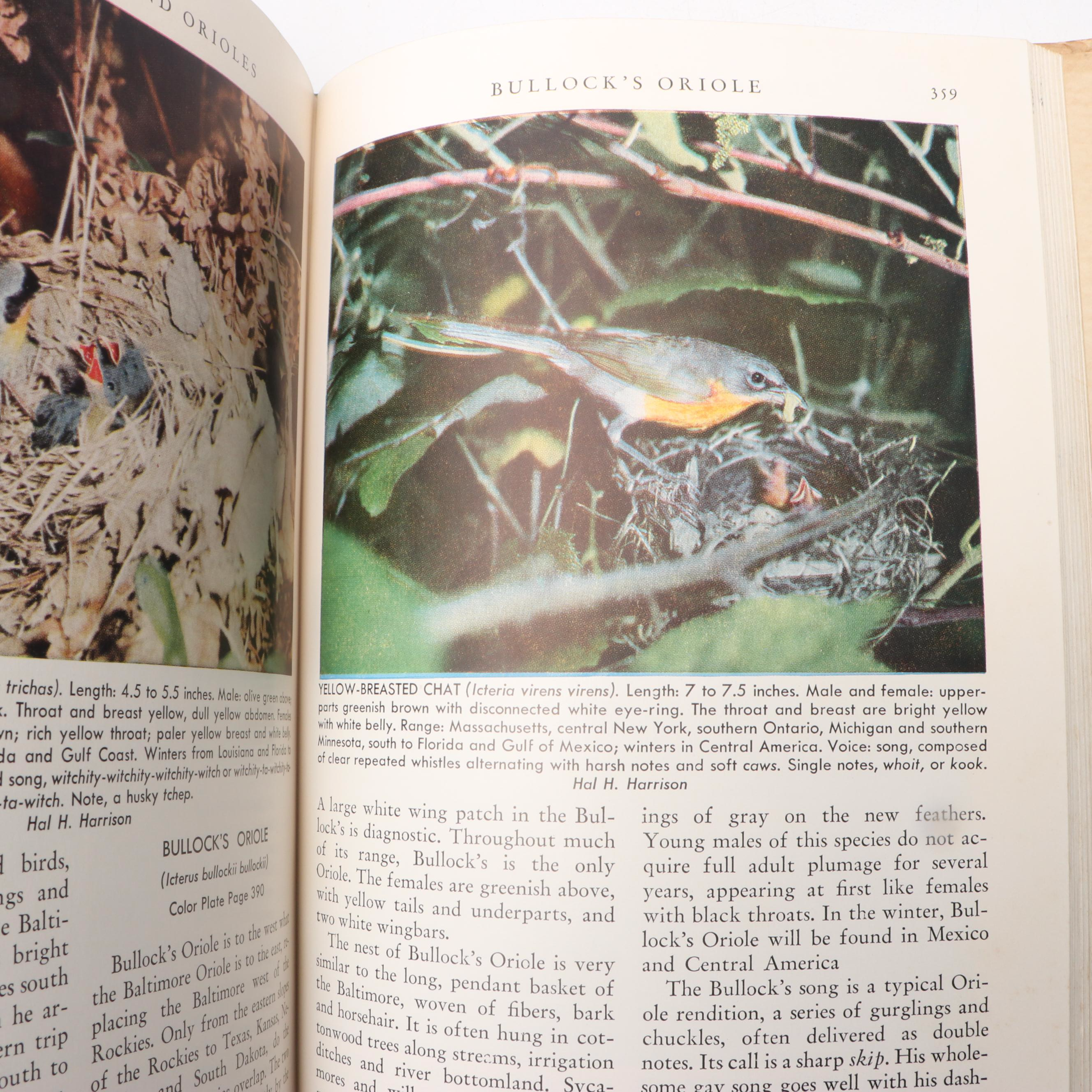 "American Birds in Color: Land Birds" by Hal. H. Harrison and More Nature Books