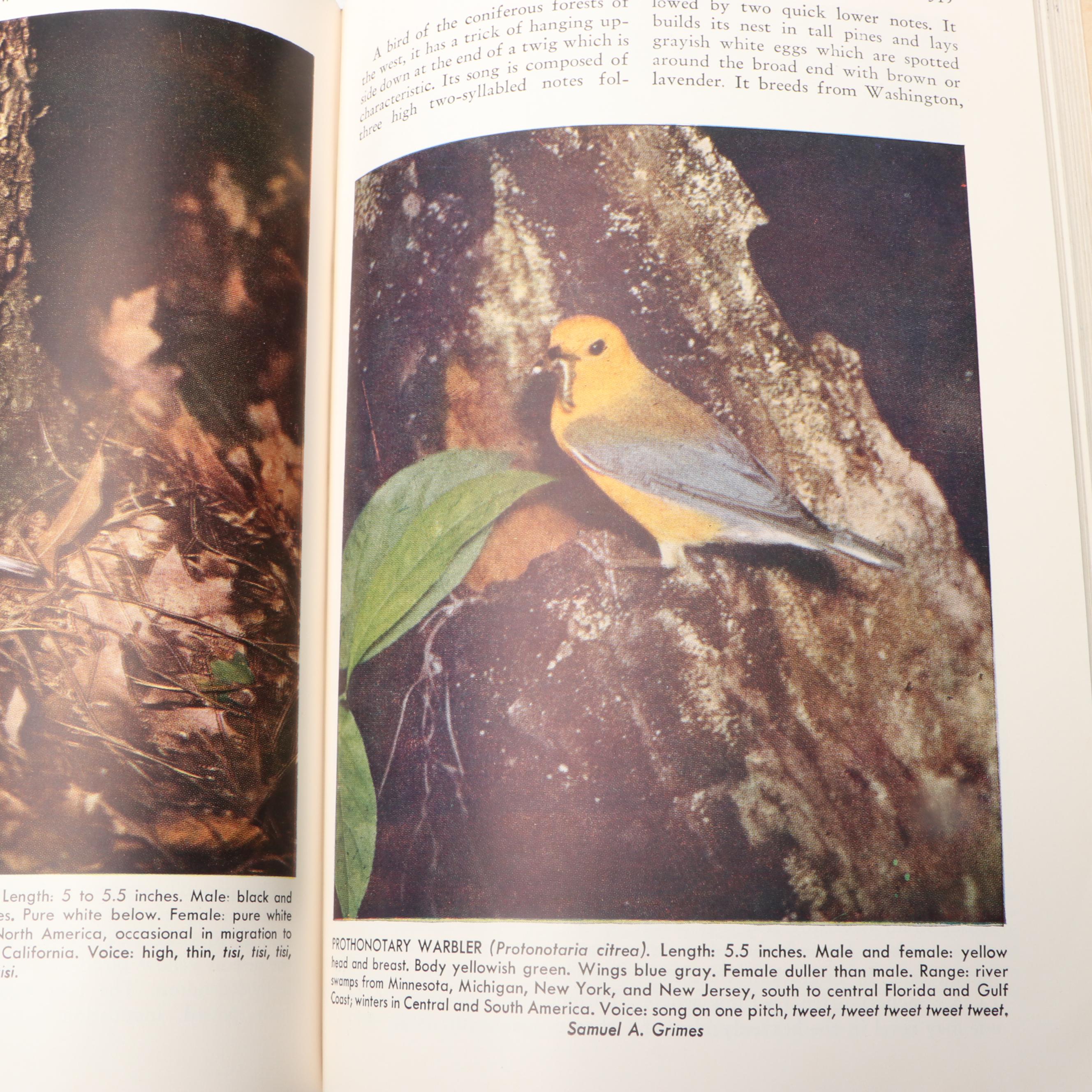"American Birds in Color: Land Birds" by Hal. H. Harrison and More Nature Books