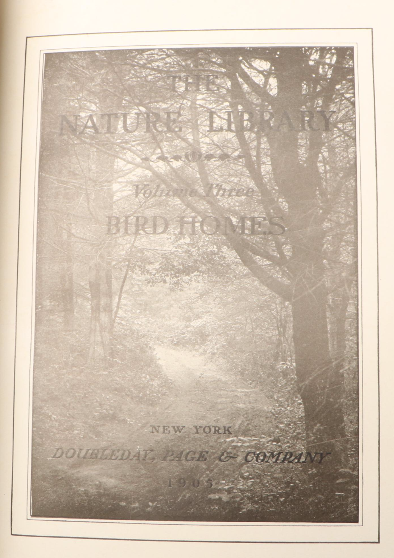 "American Birds in Color: Land Birds" by Hal. H. Harrison and More Nature Books
