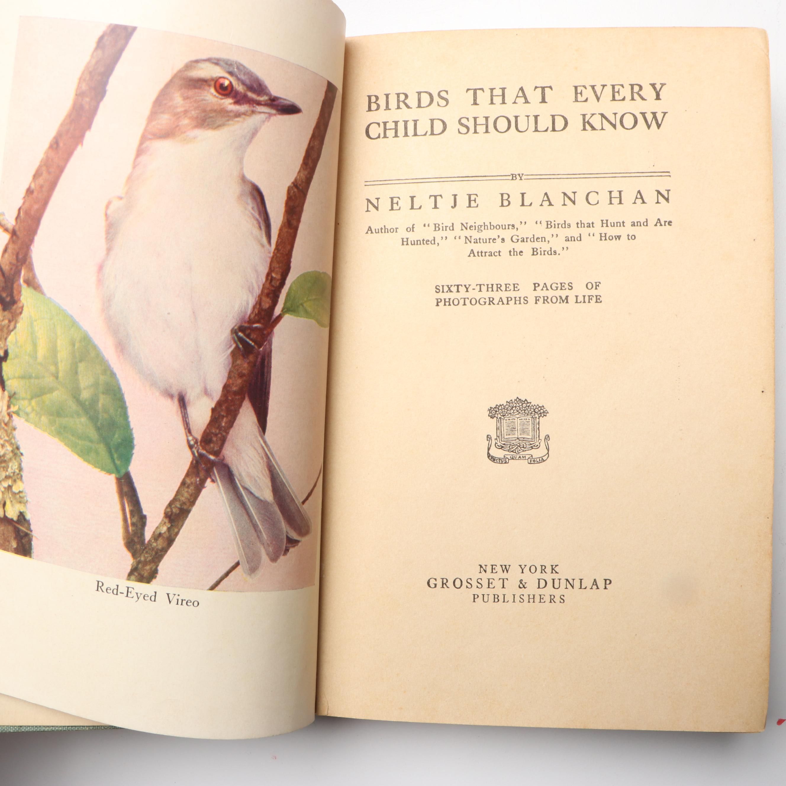 "American Birds in Color: Land Birds" by Hal. H. Harrison and More Nature Books