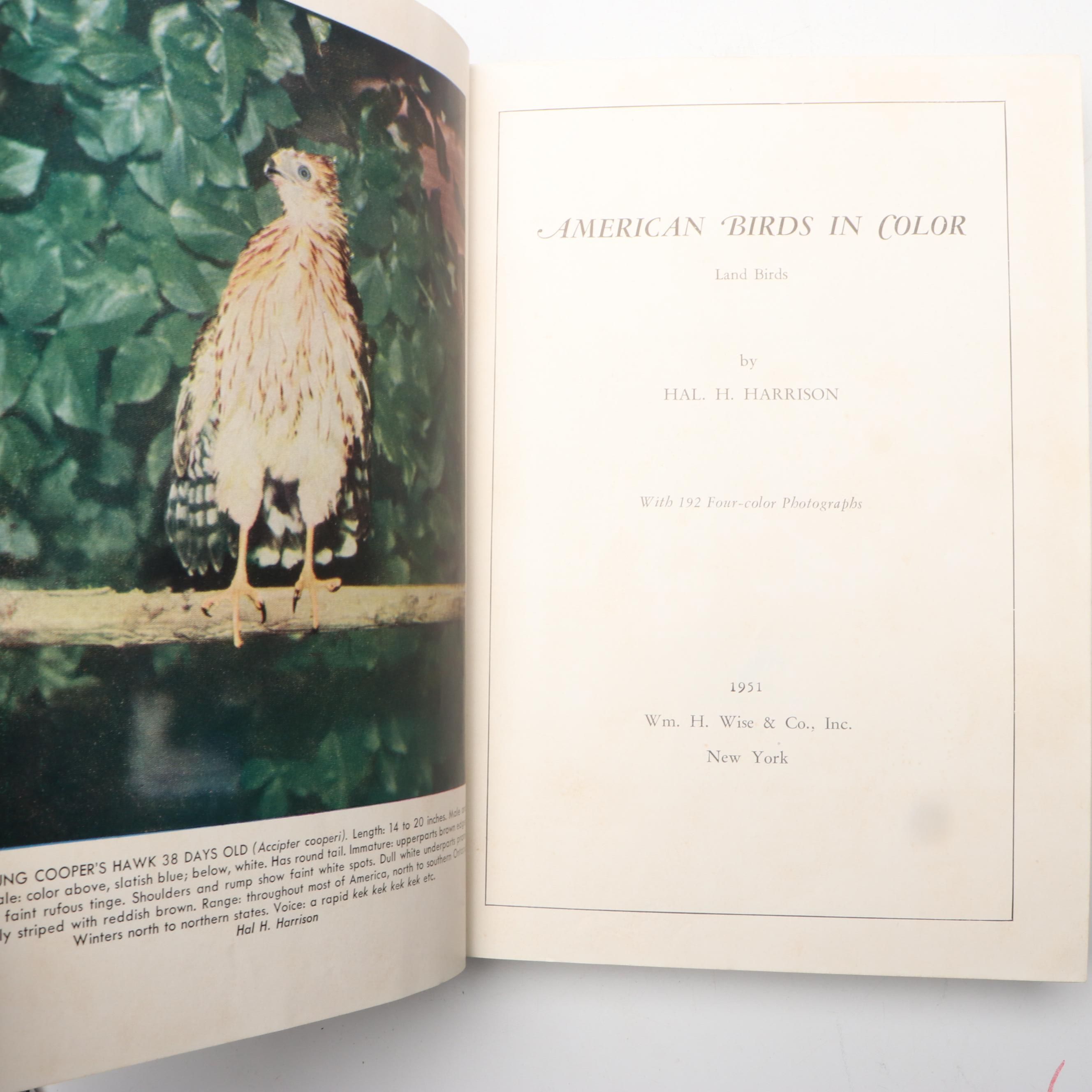 "American Birds in Color: Land Birds" by Hal. H. Harrison and More Nature Books