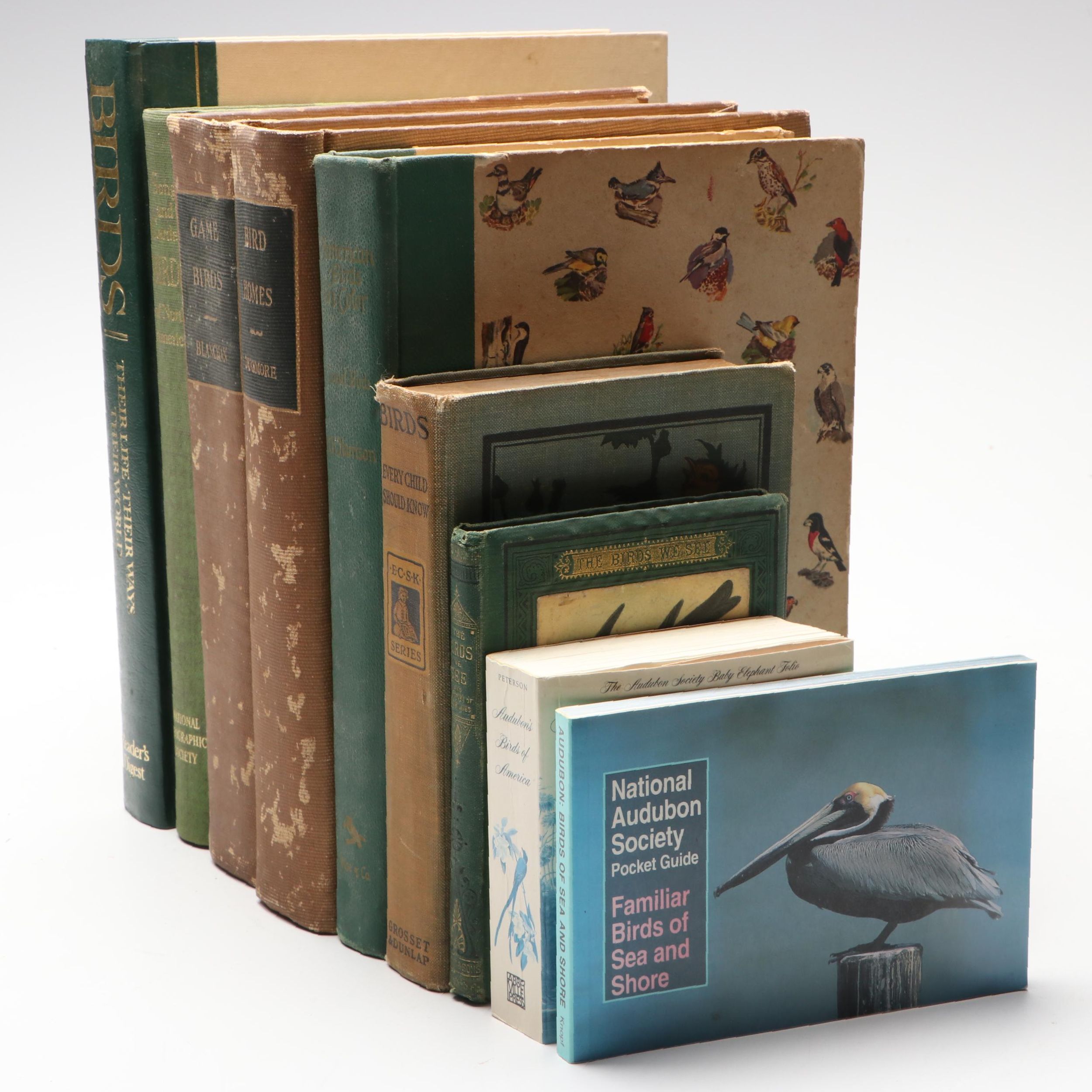 "American Birds in Color: Land Birds" by Hal. H. Harrison and More Nature Books