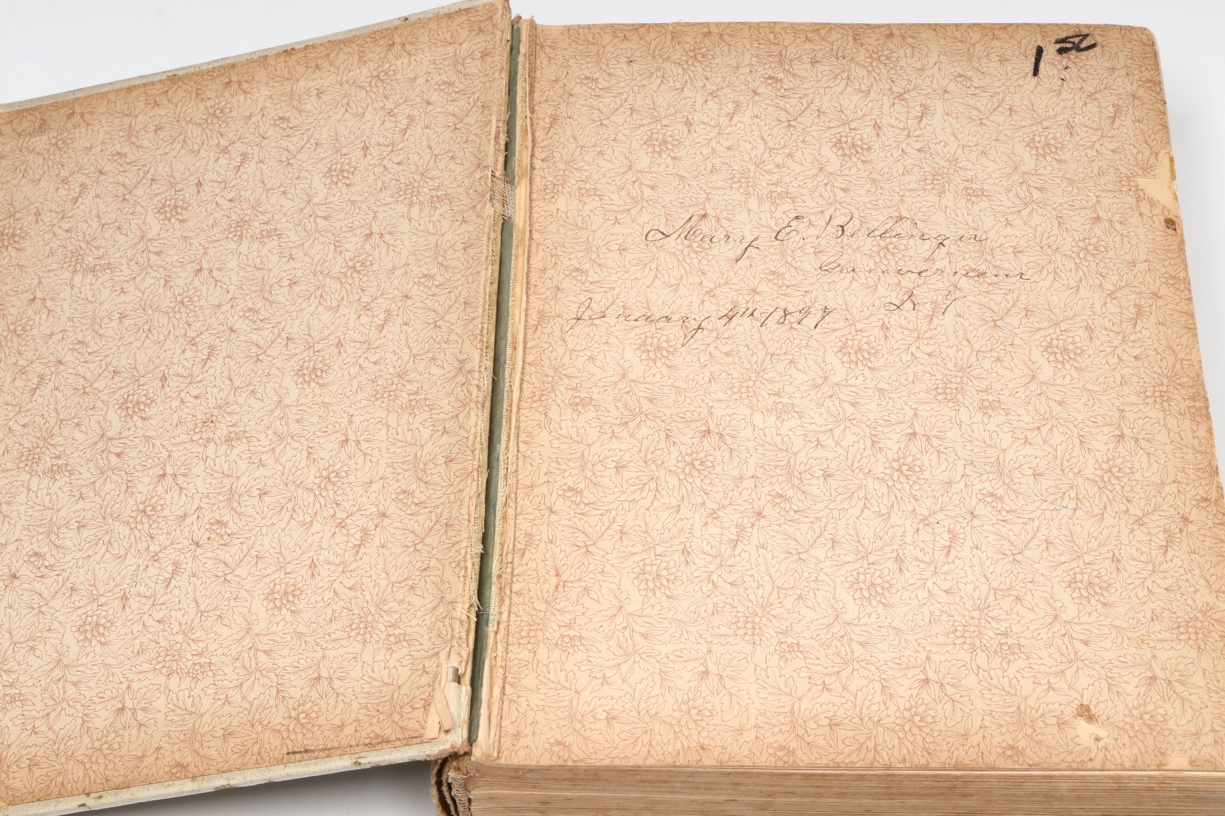 "The White House Cook Book" by Hugo Ziemann and Fanny L. Gillette, 1894