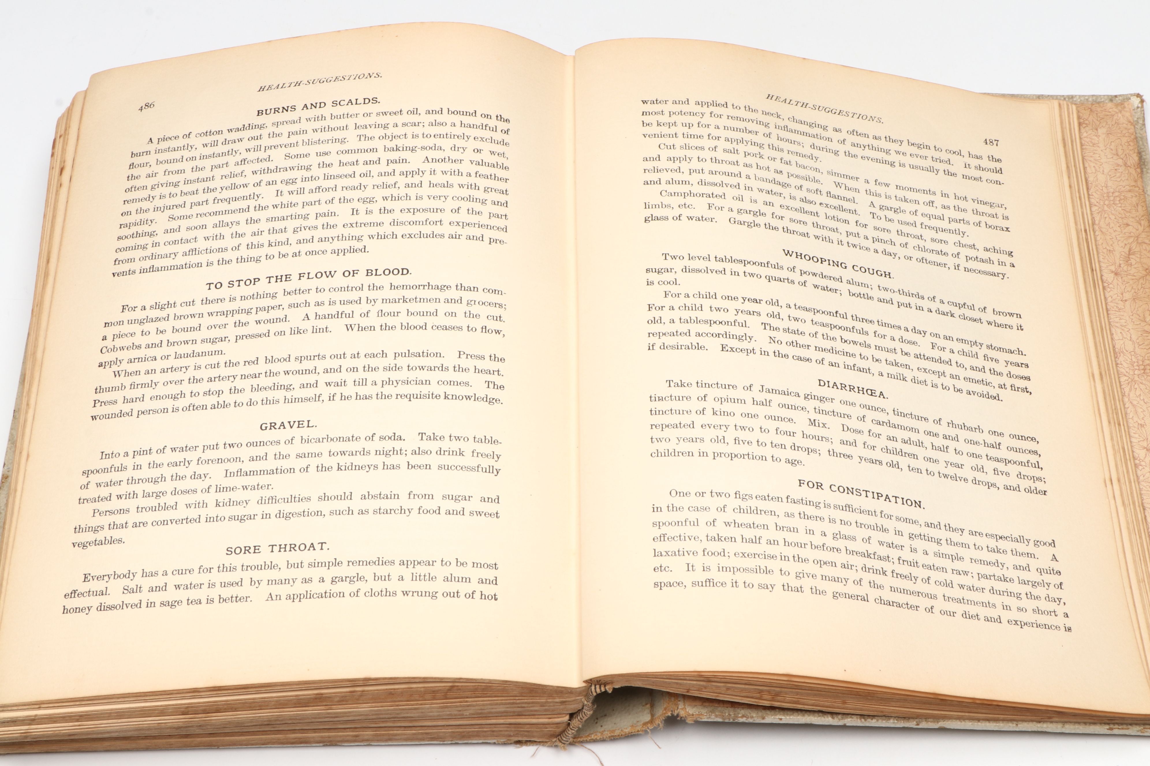 "The White House Cook Book" by Hugo Ziemann and Fanny L. Gillette, 1894