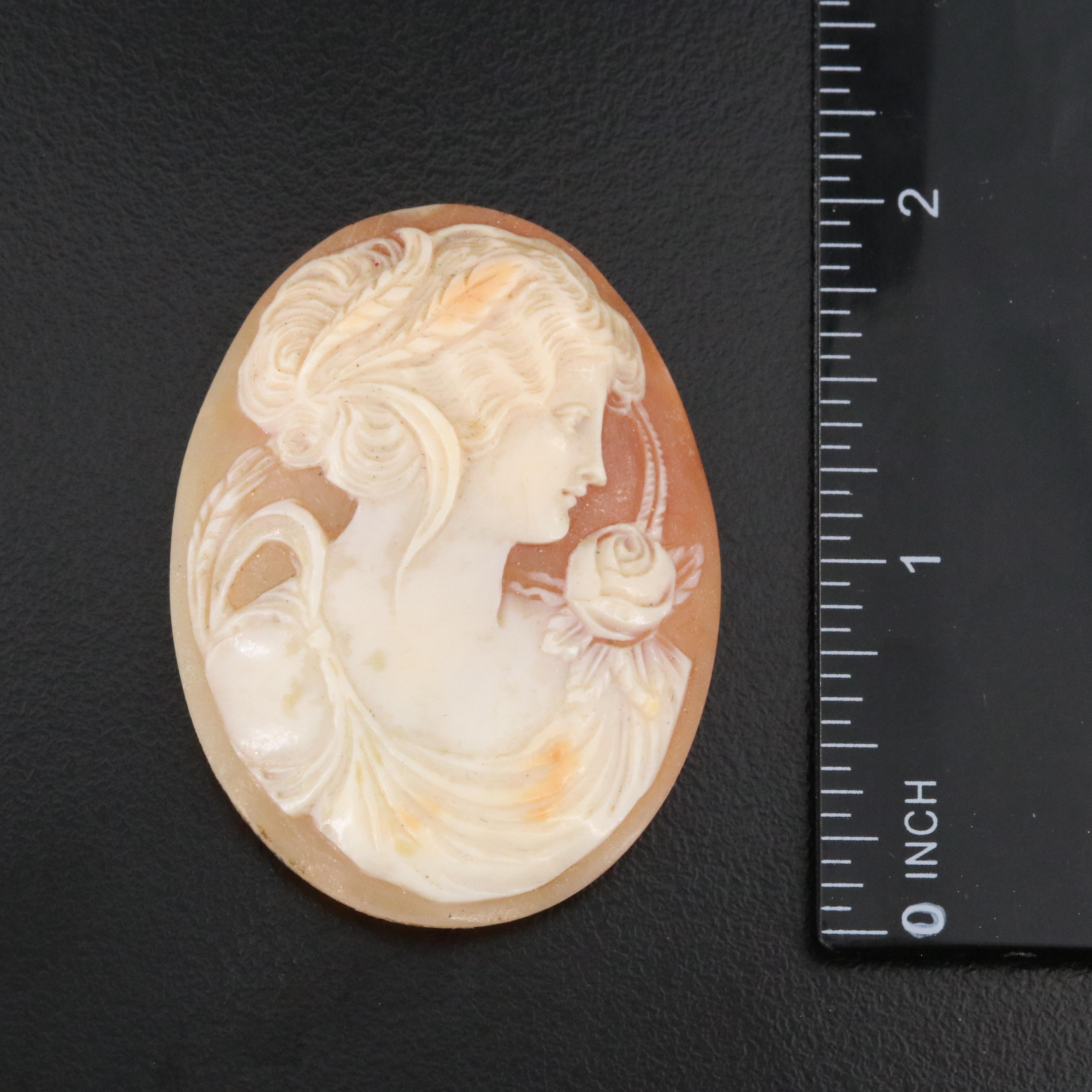 Loose Shell and Onyx Cameo Lot