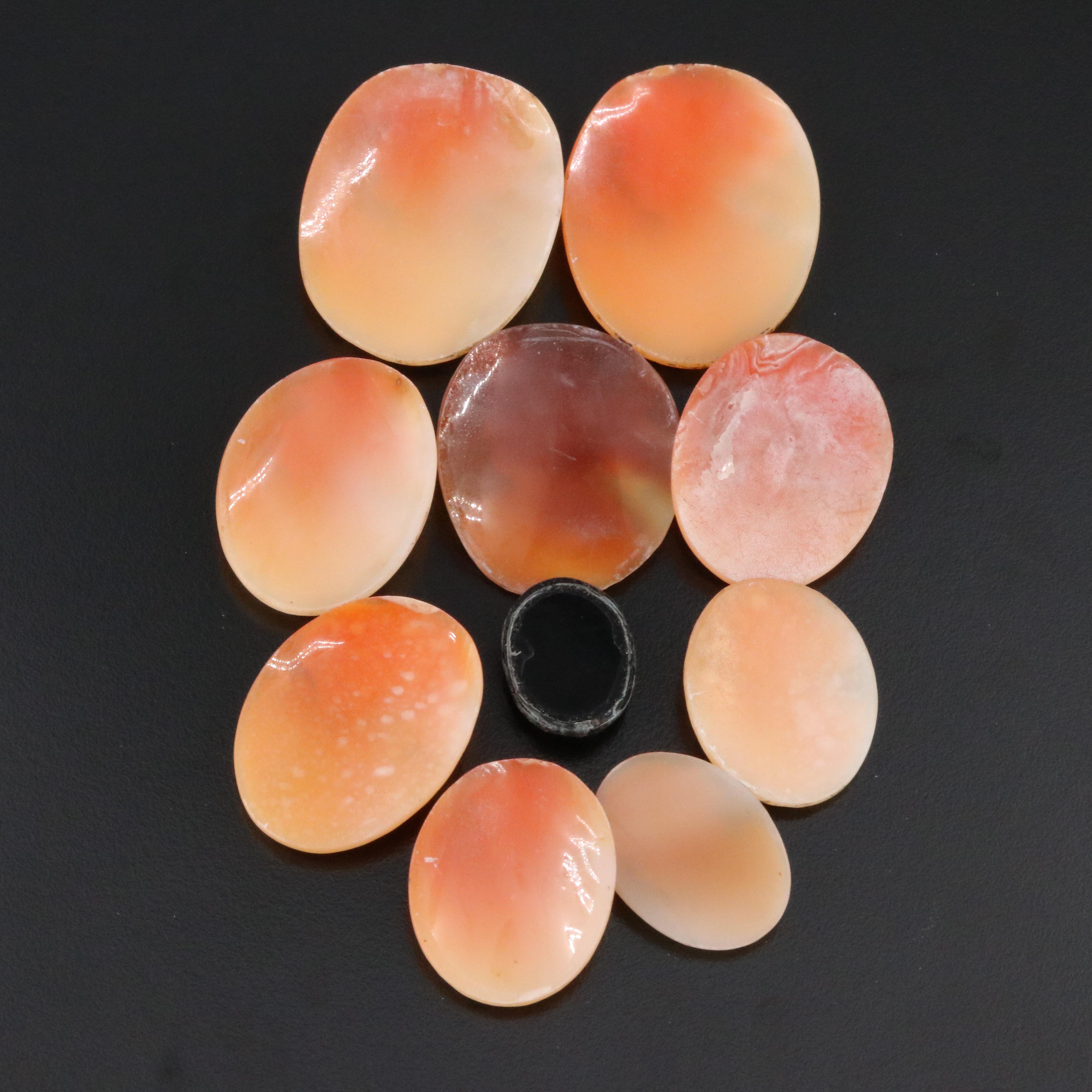 Loose Shell and Onyx Cameo Lot