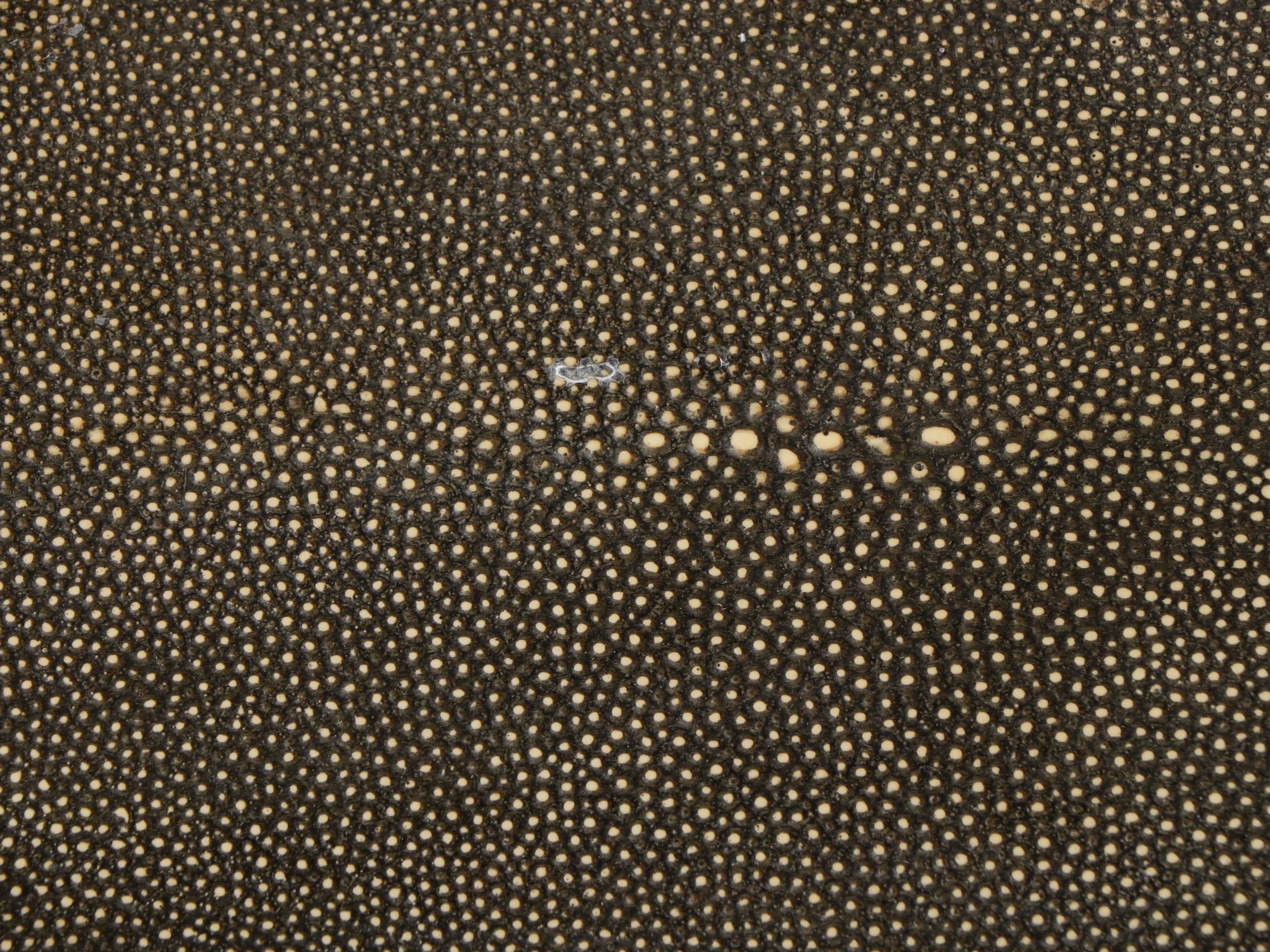 Woodbridge Furniture "Savoye" Faux Shagreen and Walnut Cocktail Table