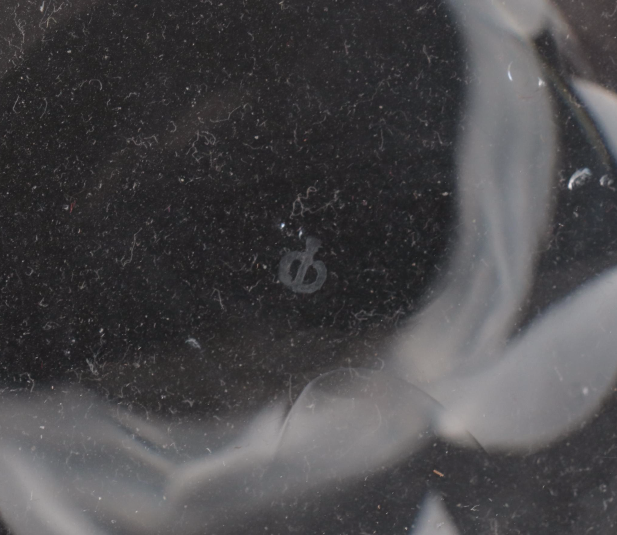 Pair of Etched Leaf Glass Vases