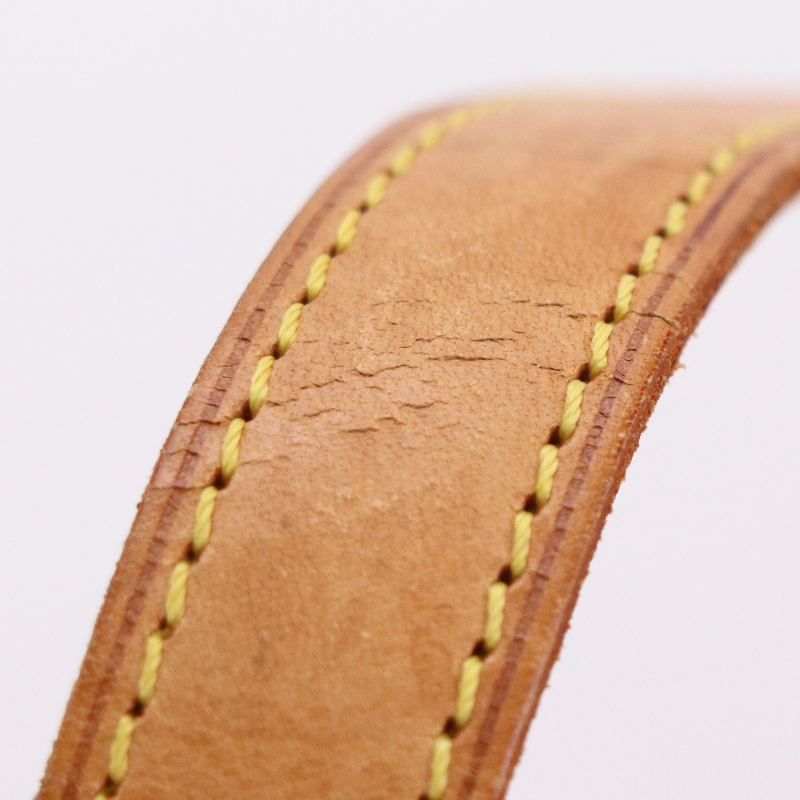 Louis Vuitton Wooster Crossbody Bag in Monogram Vernis and Vachetta Leather