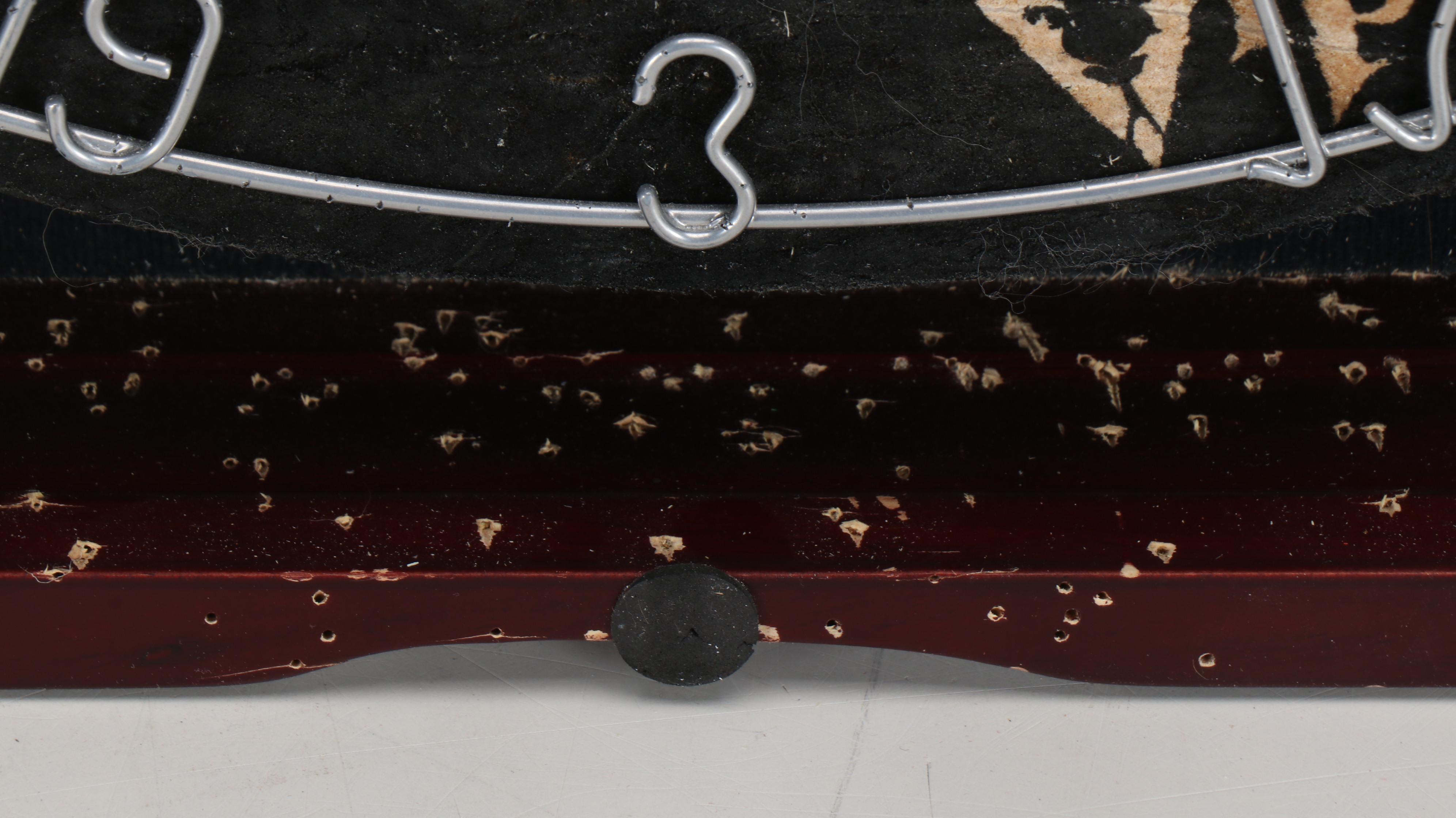 Viper "Shot King" Competition Dart Board with Cabinet and Accessories