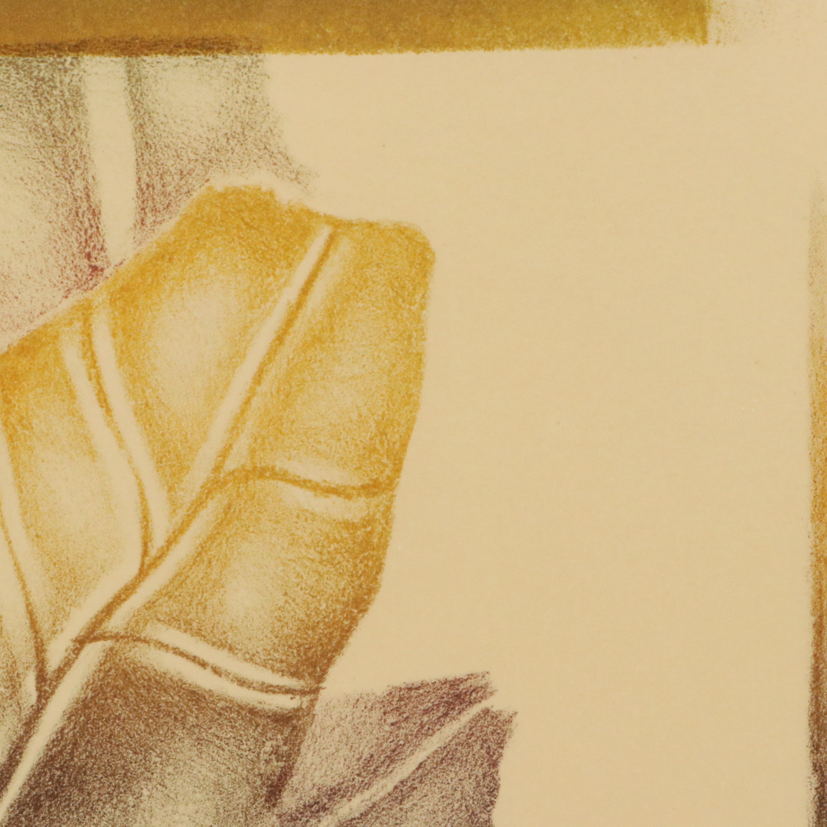 J. Lazaro Rodriguez Lithograph "Folleje Organico," Late 20th Century