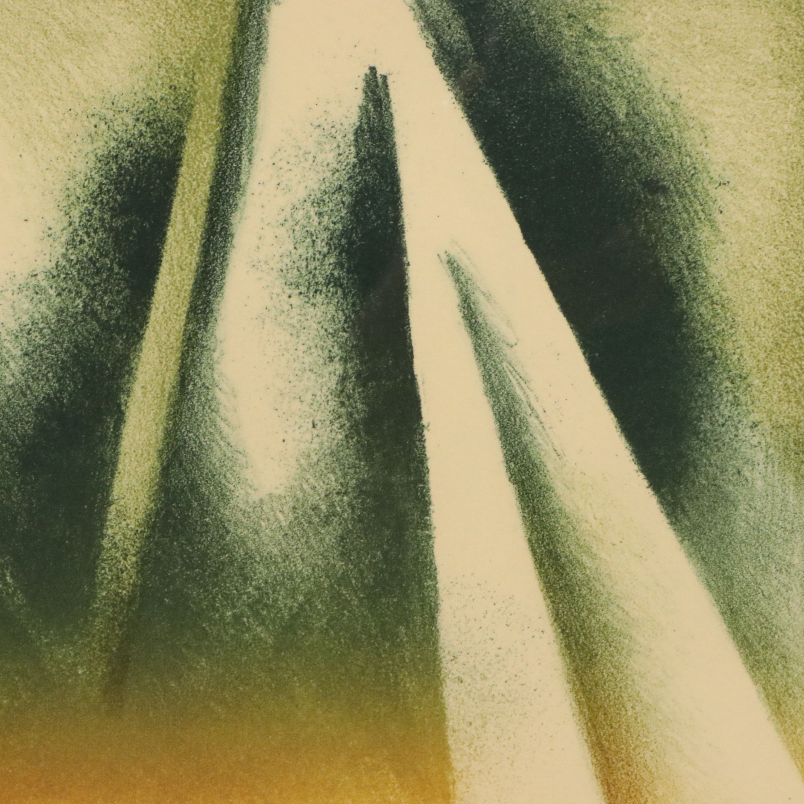 J. Lazaro Rodriguez Lithograph "Folleje Organico," Late 20th Century