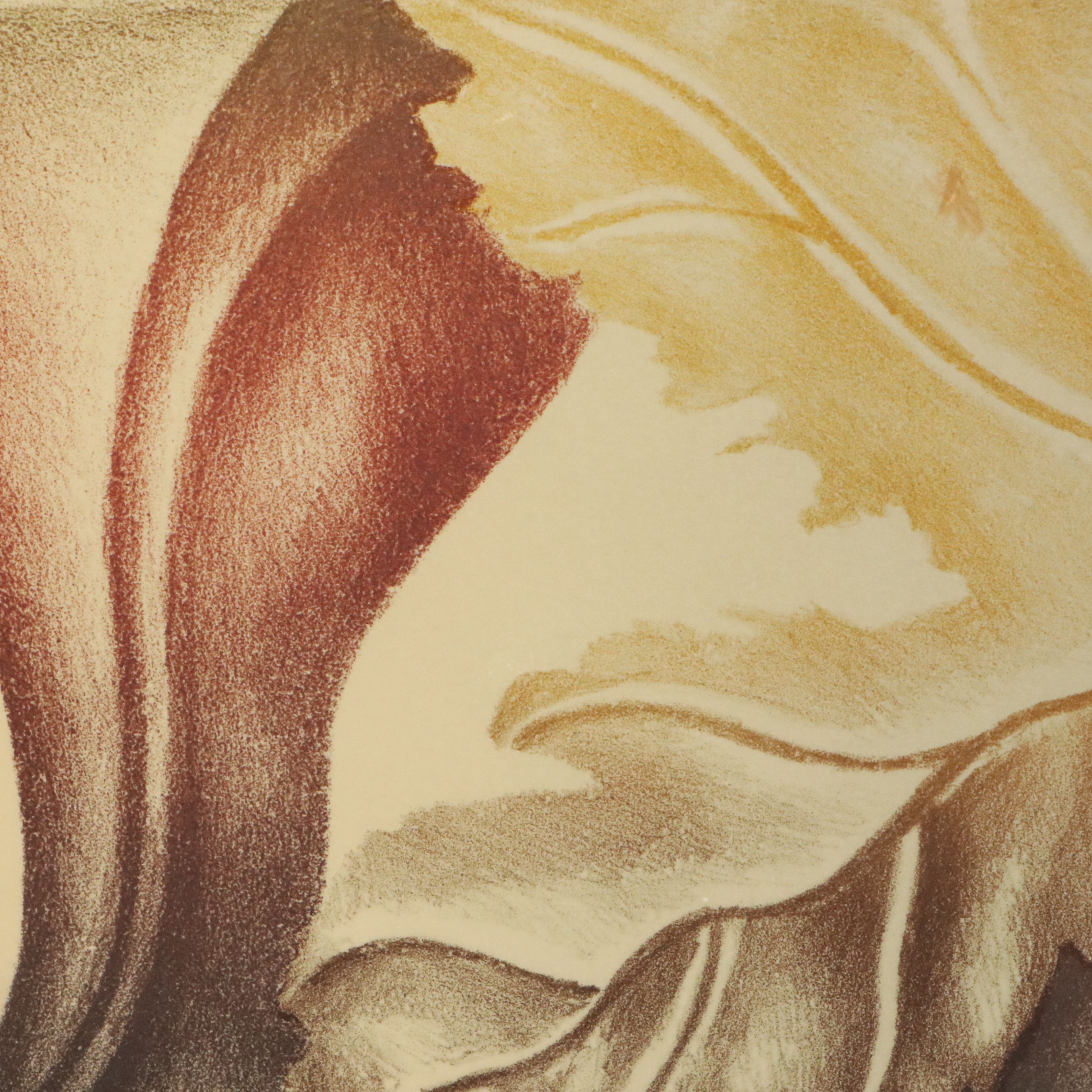 J. Lazaro Rodriguez Lithograph "Folleje Organico," Late 20th Century