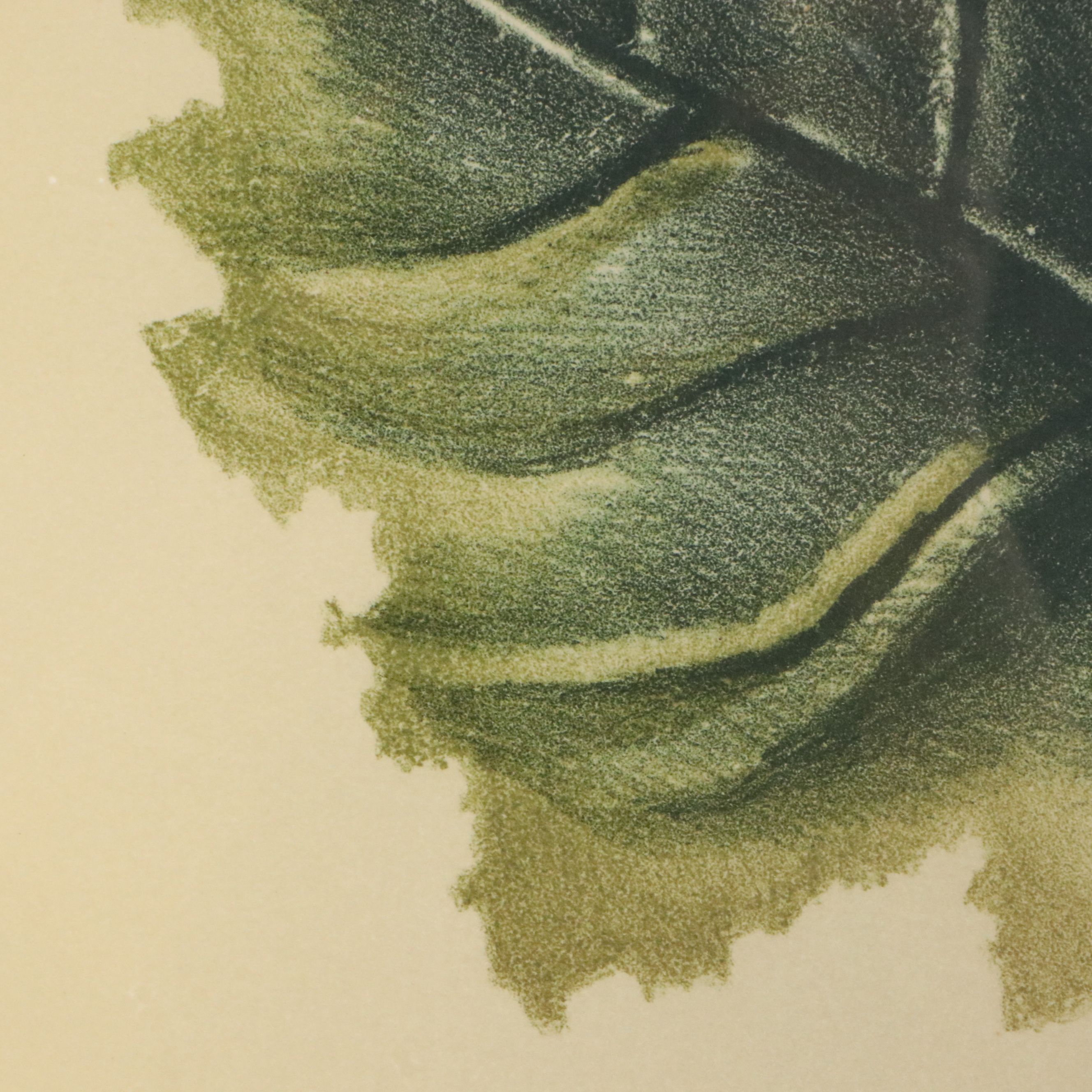 J. Lazaro Rodriguez Lithograph "Folleje Organico," Late 20th Century