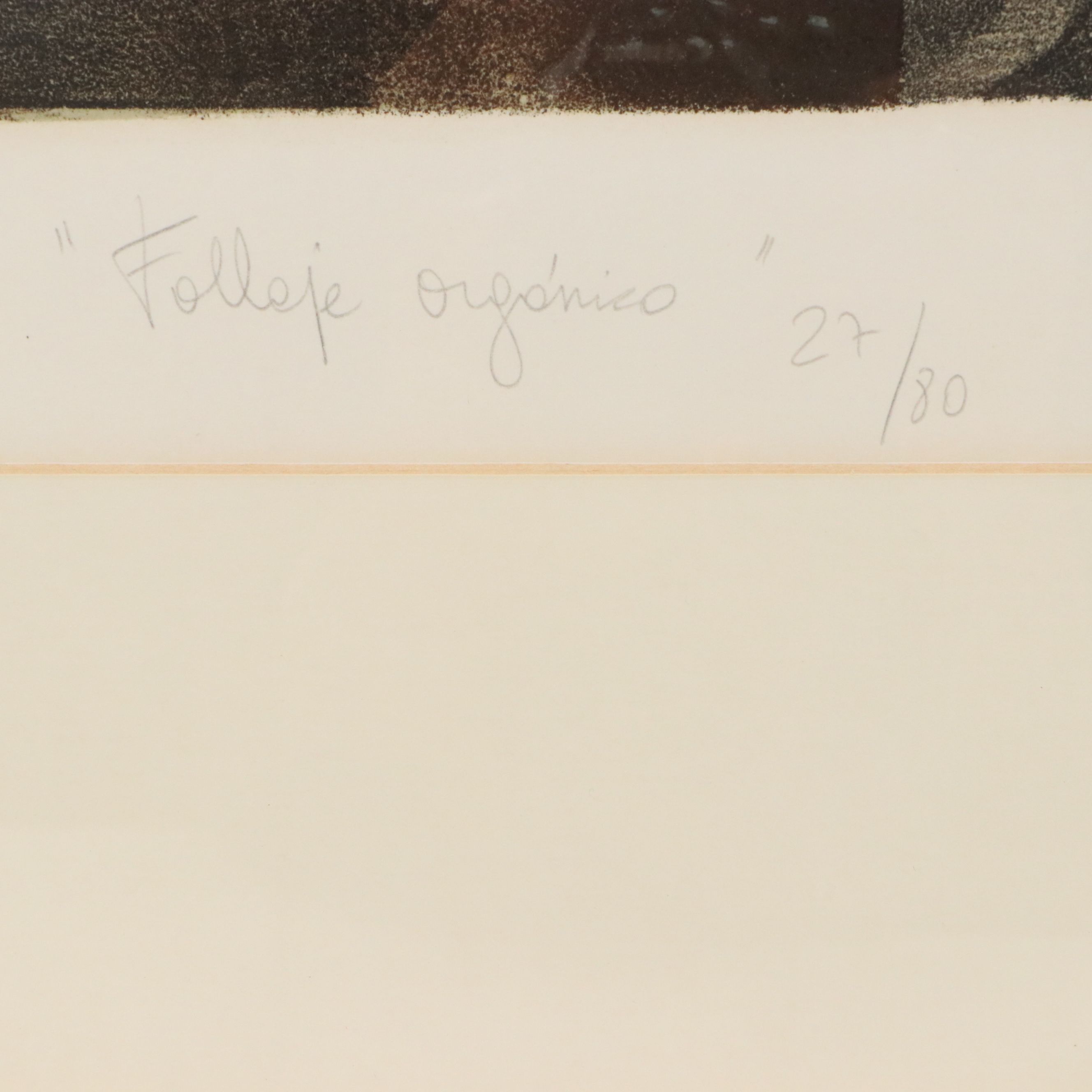 J. Lazaro Rodriguez Lithograph "Folleje Organico," Late 20th Century