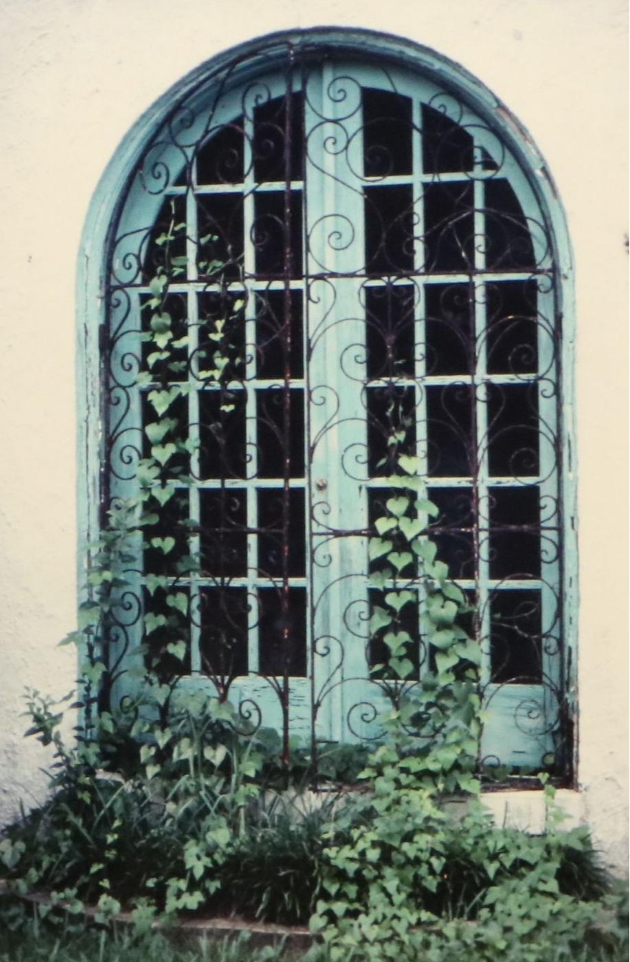 Lydia Packer Chromogenic Print of Window, 21st Century