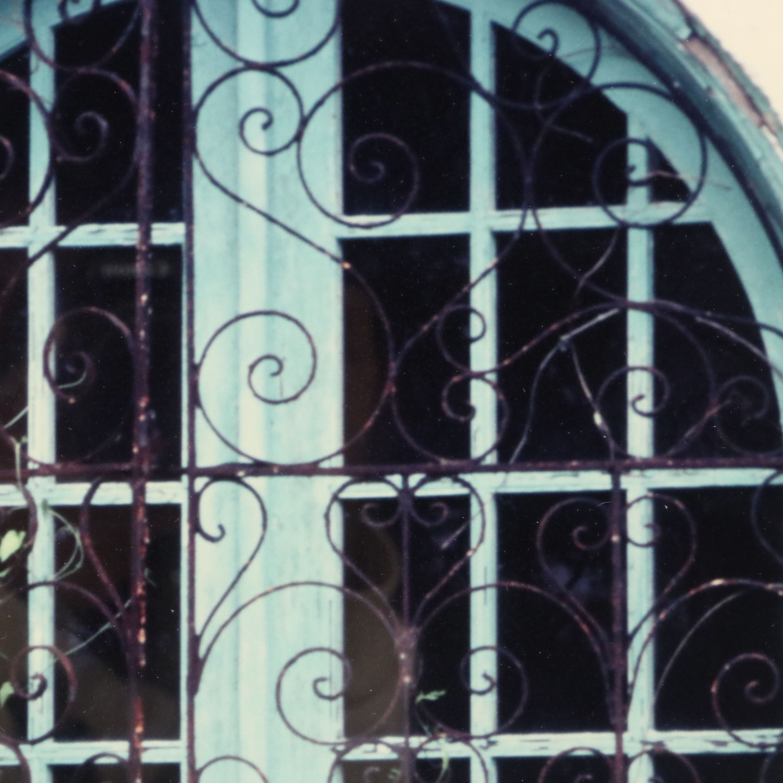 Lydia Packer Chromogenic Print of Window, 21st Century