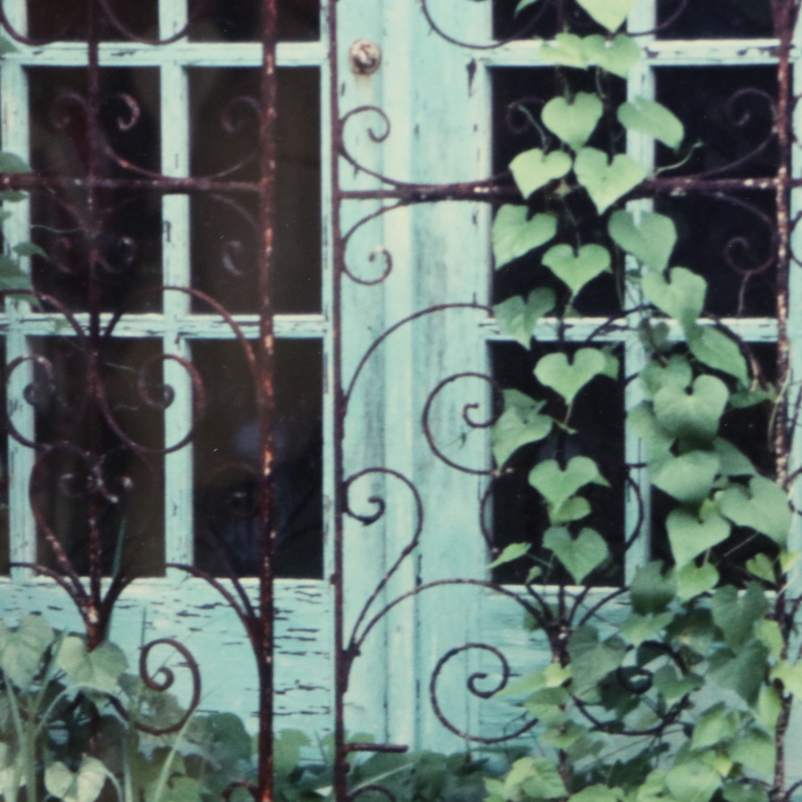 Lydia Packer Chromogenic Print of Window, 21st Century