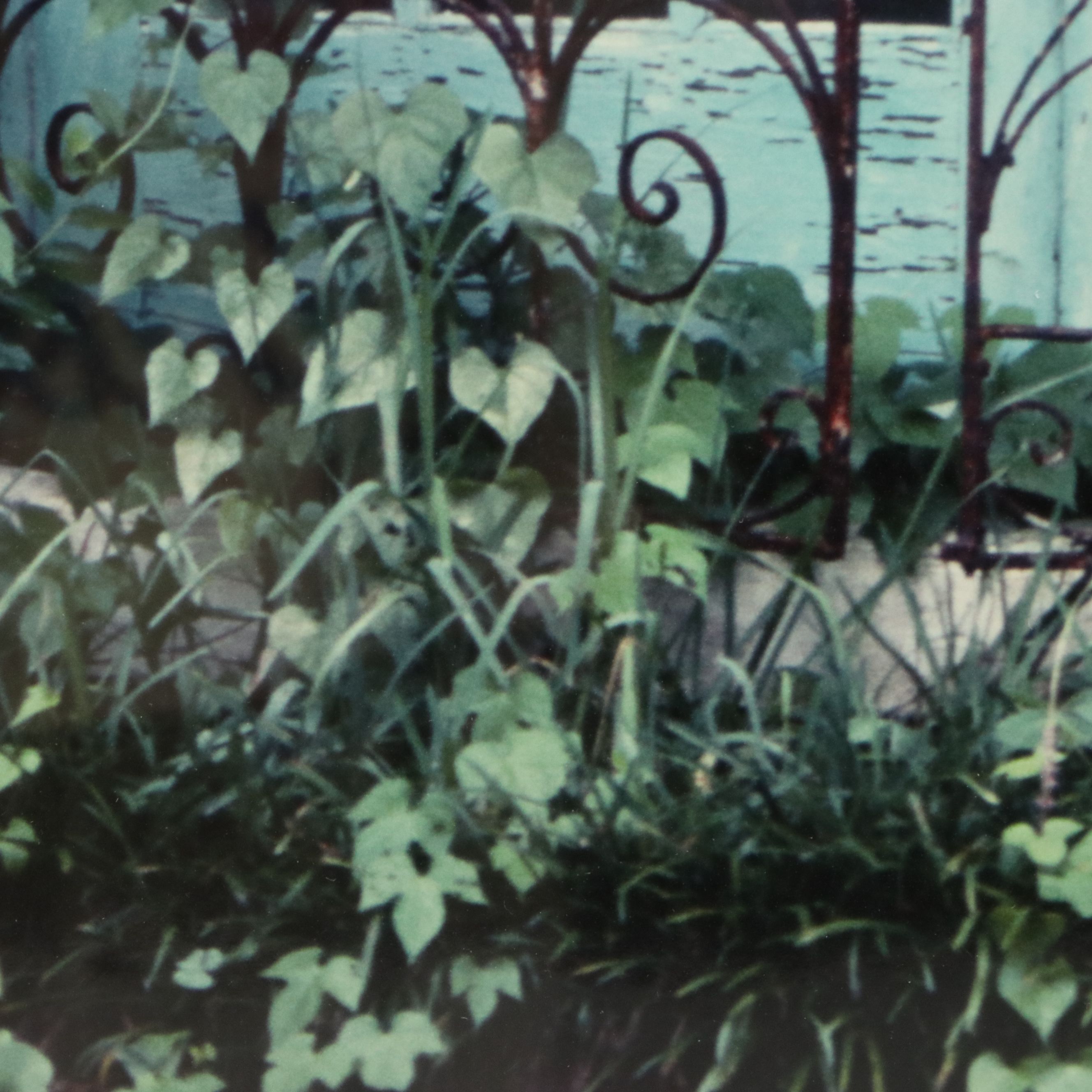 Lydia Packer Chromogenic Print of Window, 21st Century