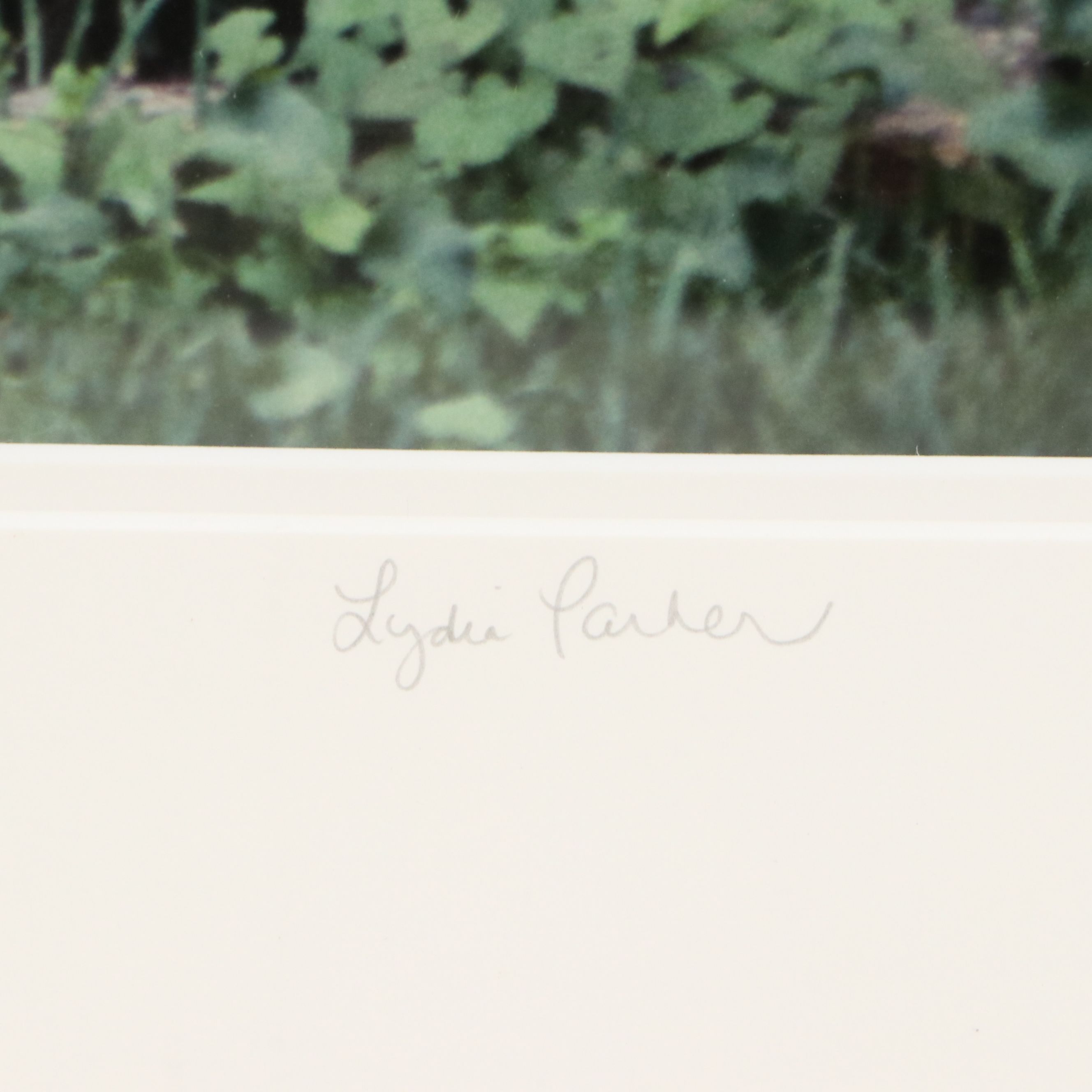 Lydia Packer Chromogenic Print of Window, 21st Century