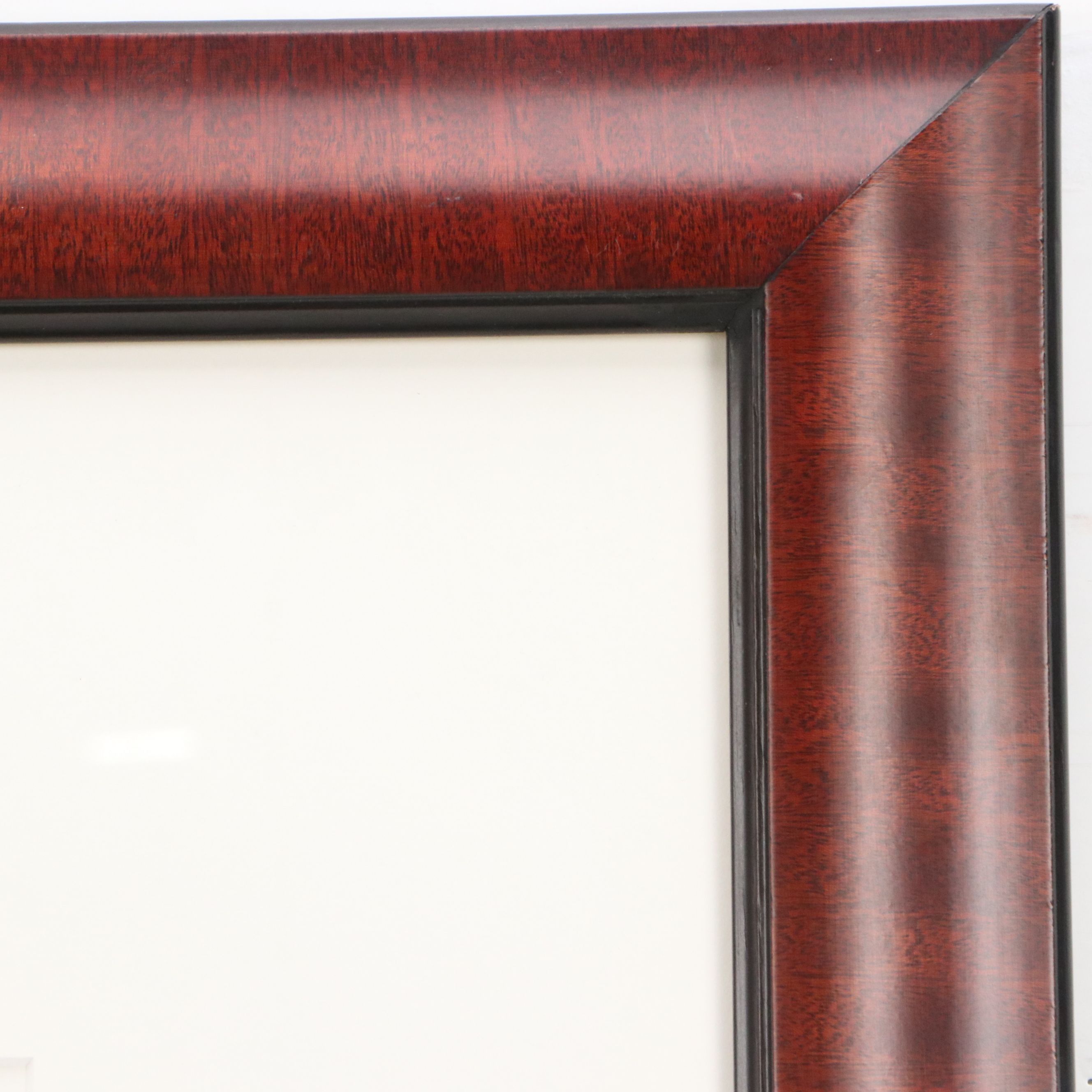 Lydia Packer Chromogenic Print of Window, 21st Century