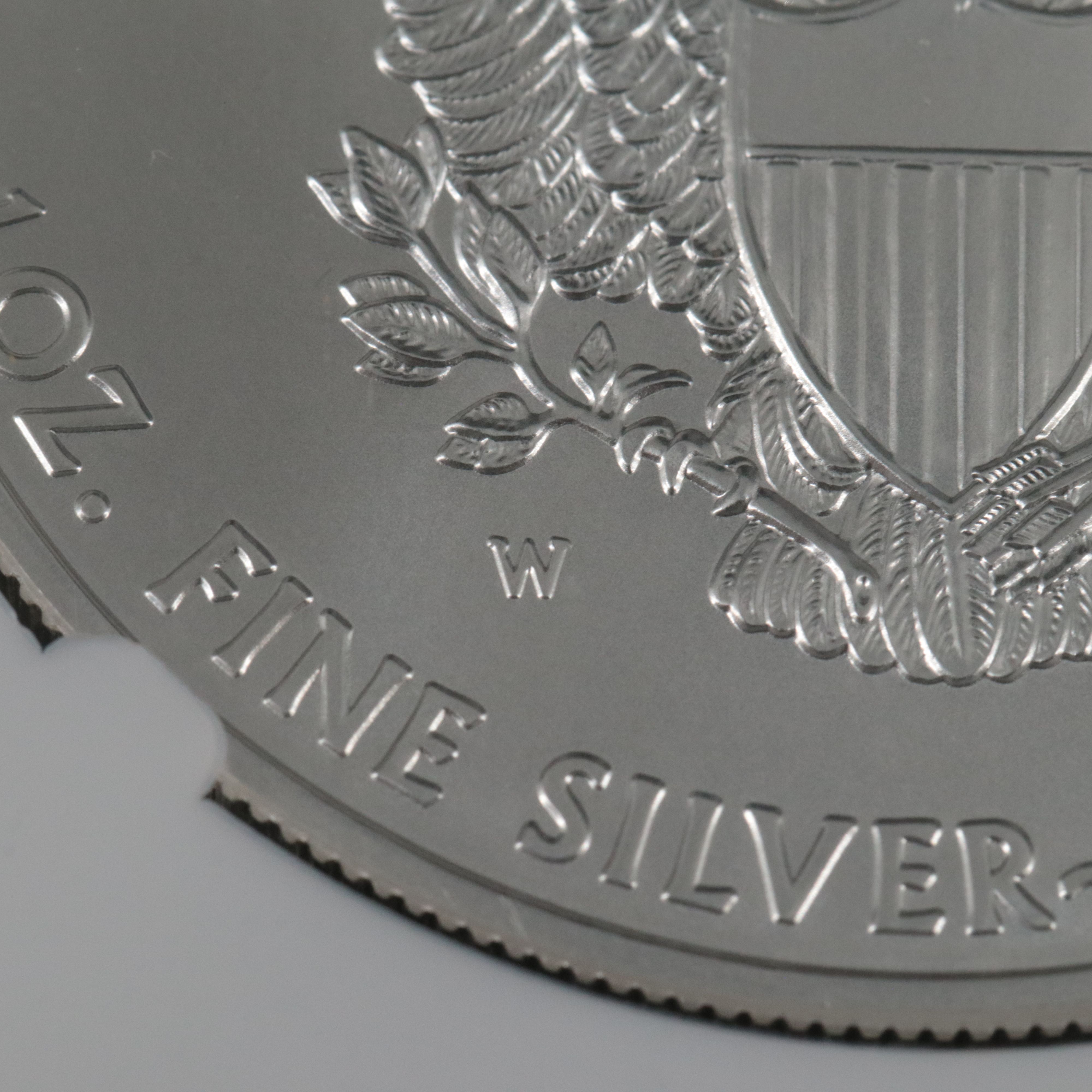 NGC Graded MS70 2011-W 25th Anniversary $1 American Silver Eagle