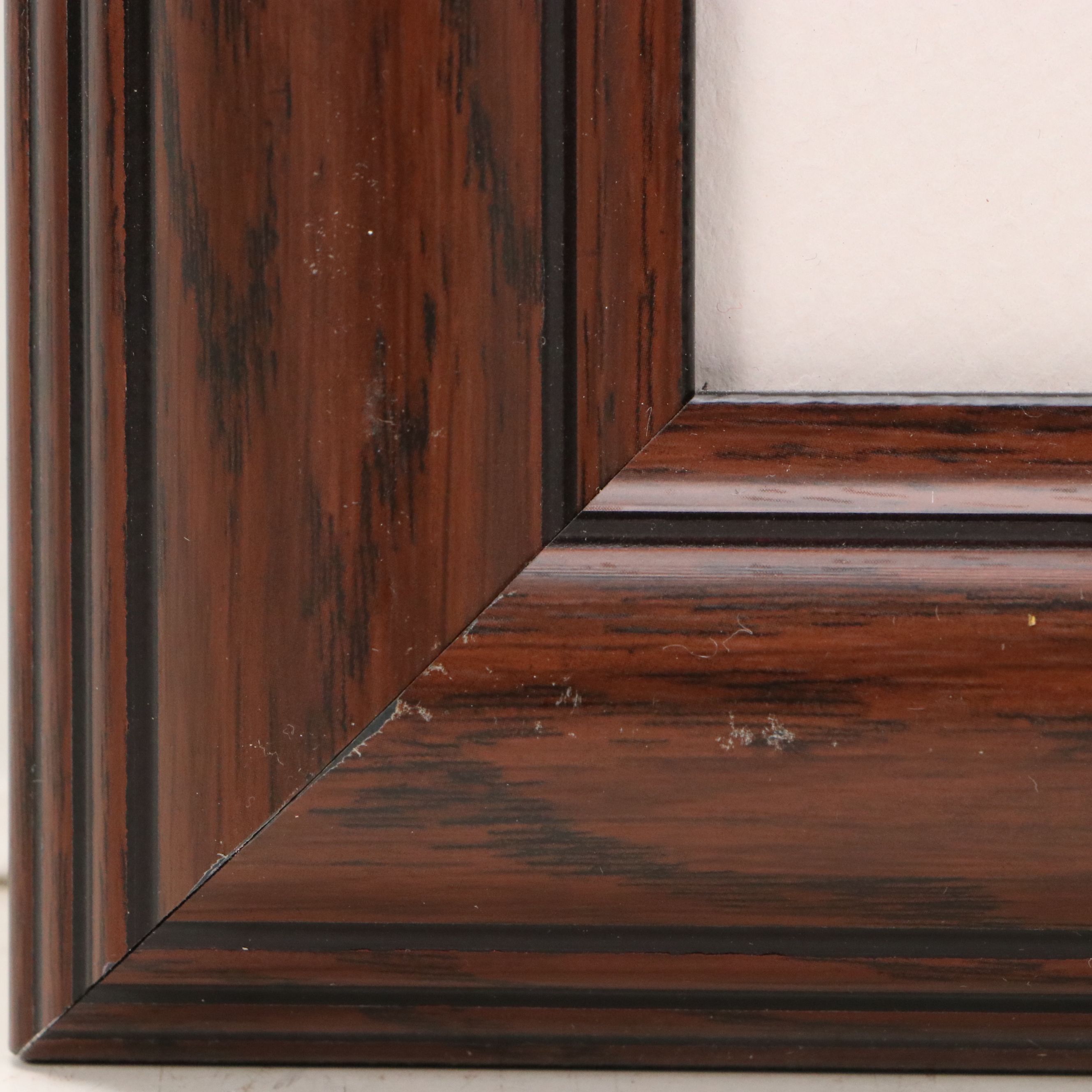 Eduardo Moreau Offset Lithographs "Exotic Palms I and II," Late 20th Century