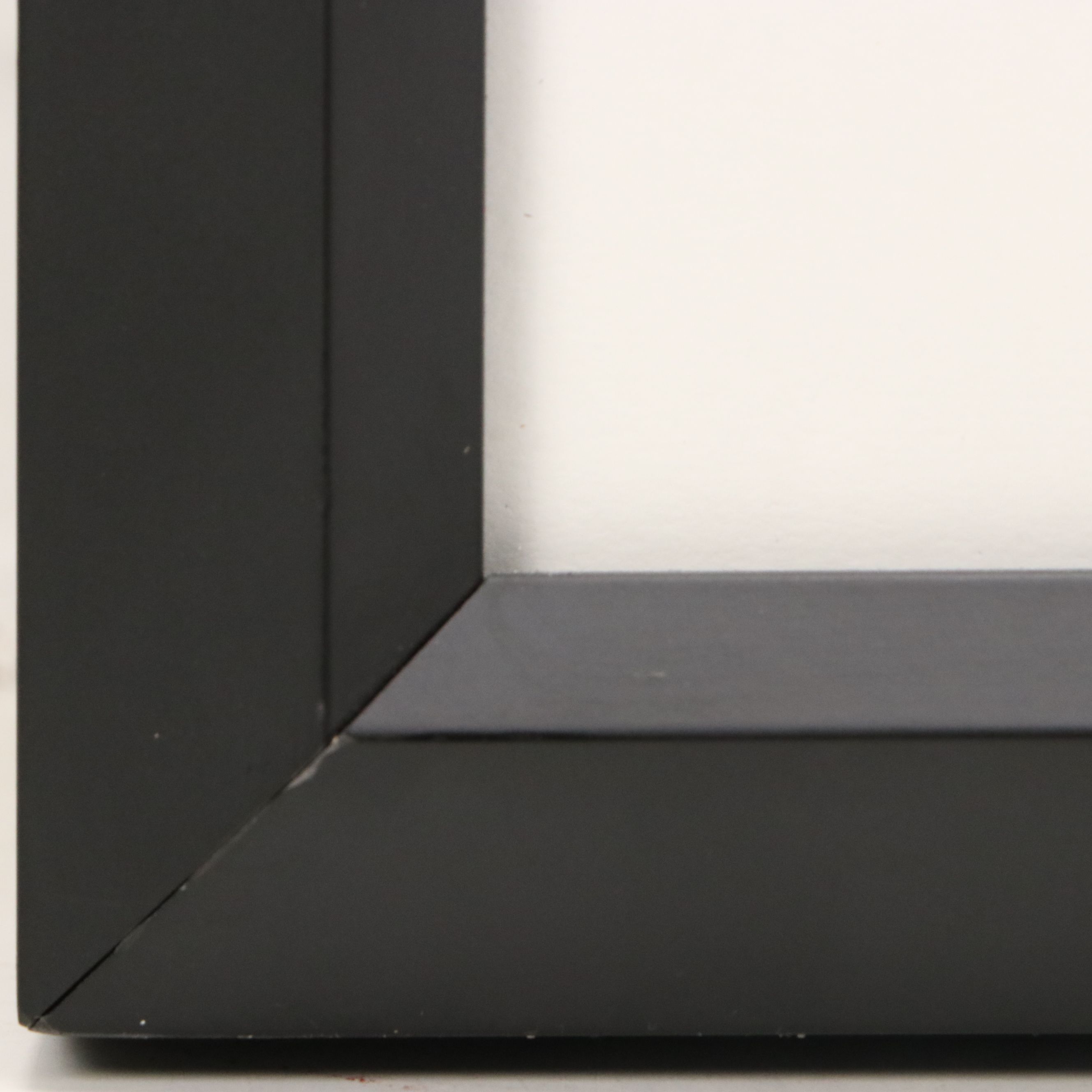 After Andy Warhol Offset Lithograph "Daisy," Late 20th Century