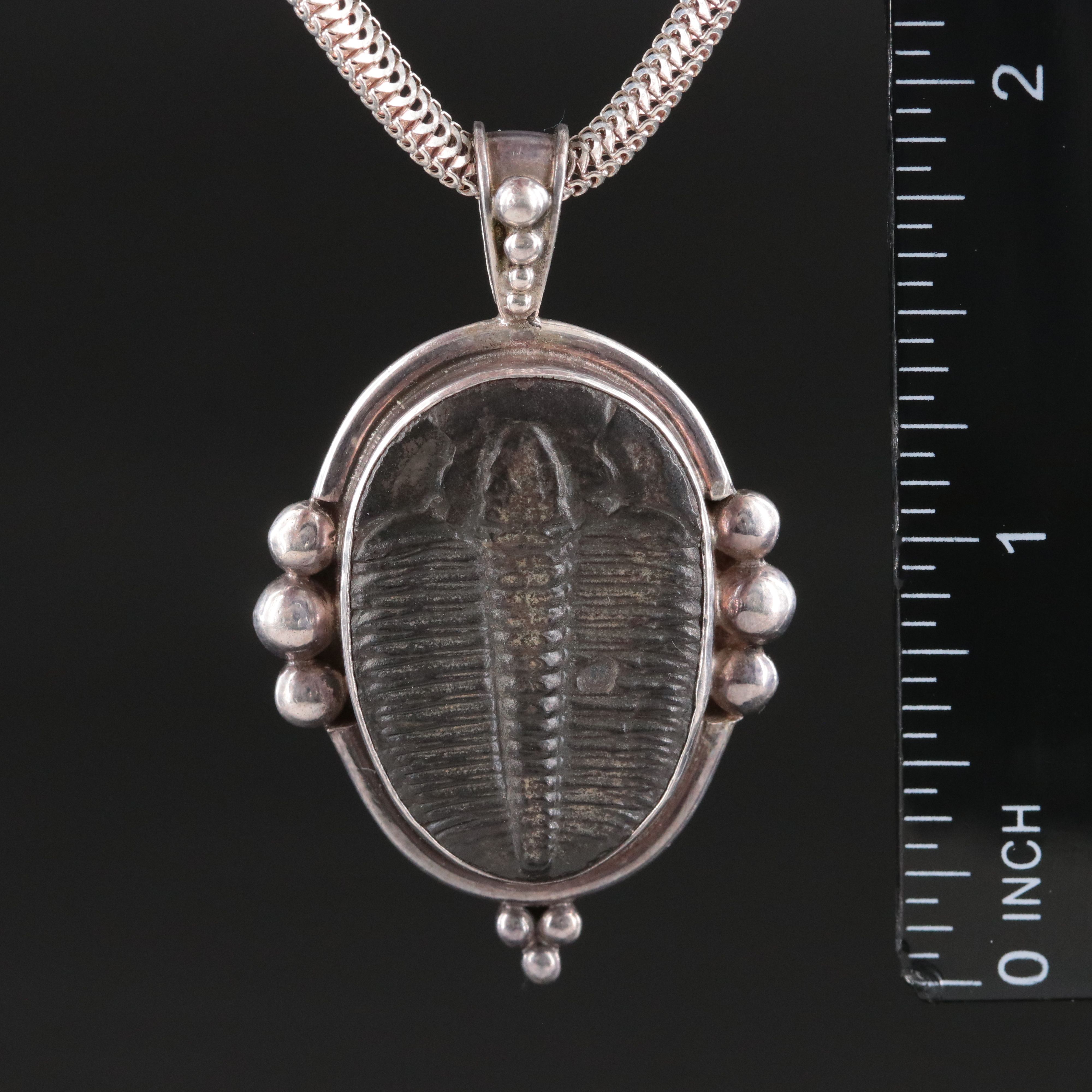 Sterling Trilobite Pendant Necklace