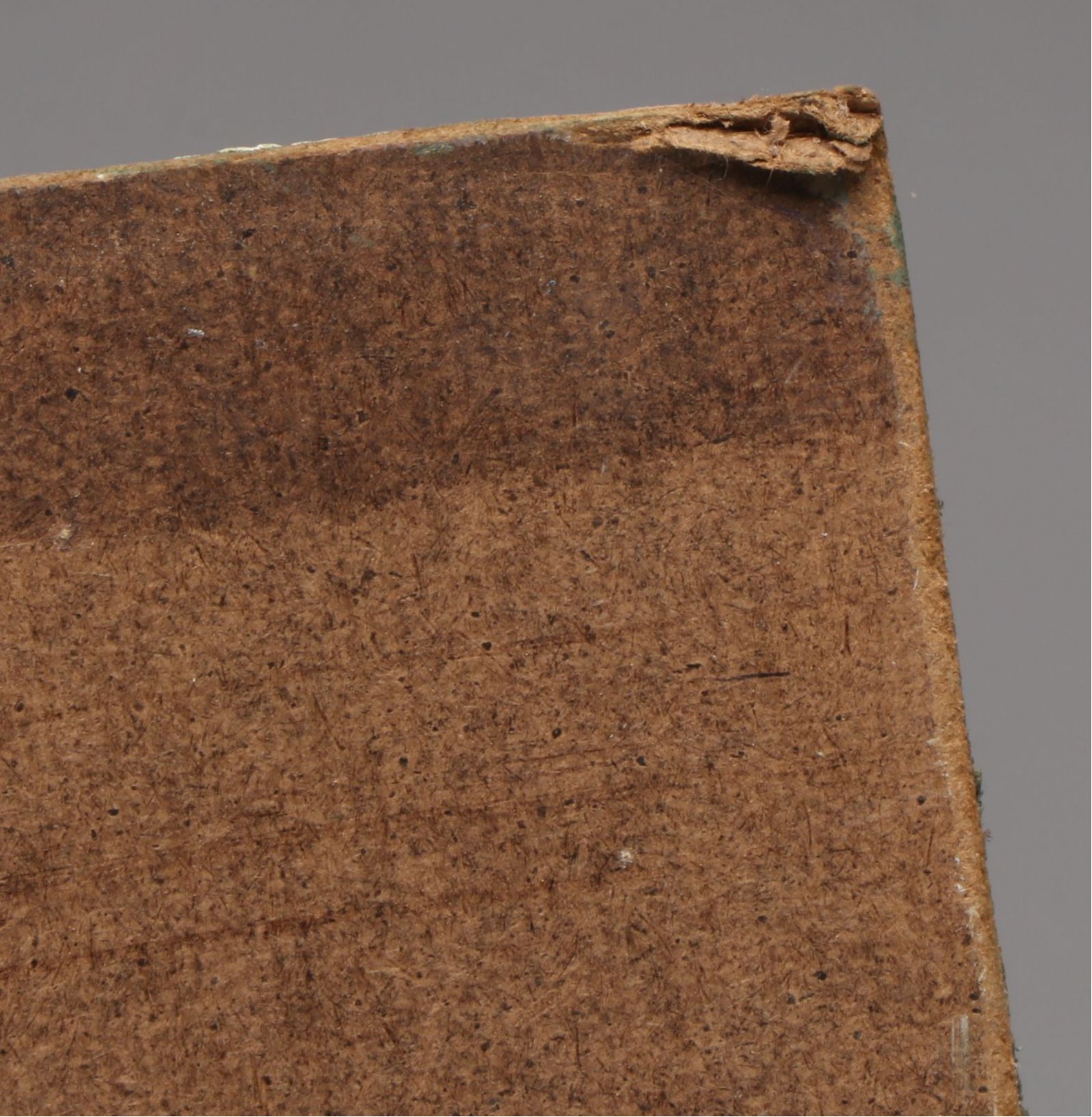 Susan Grisell Portrait Oil Painting of Woman with Cat, 2011