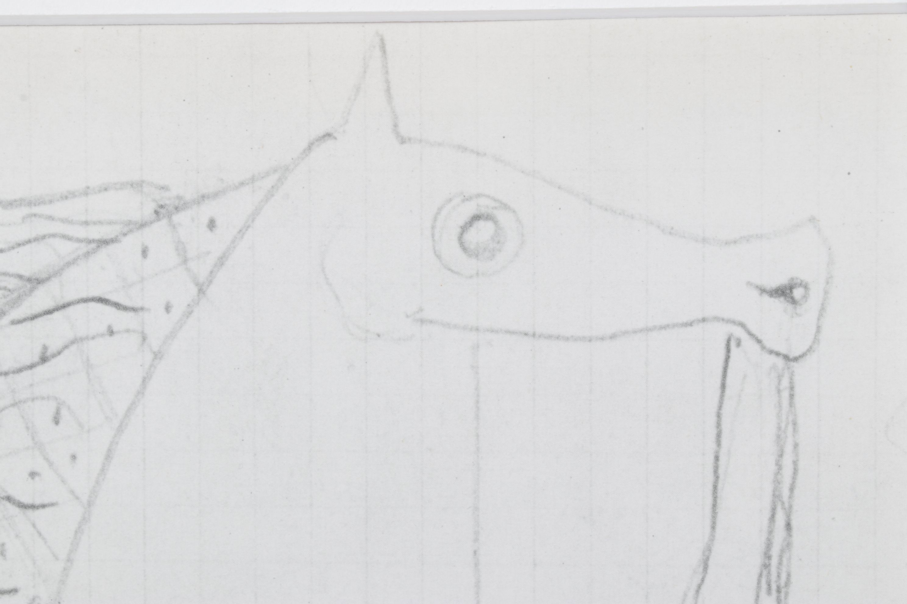 Rotogravure After Georges Braque Figural Study Illustration of a Horse, 1955