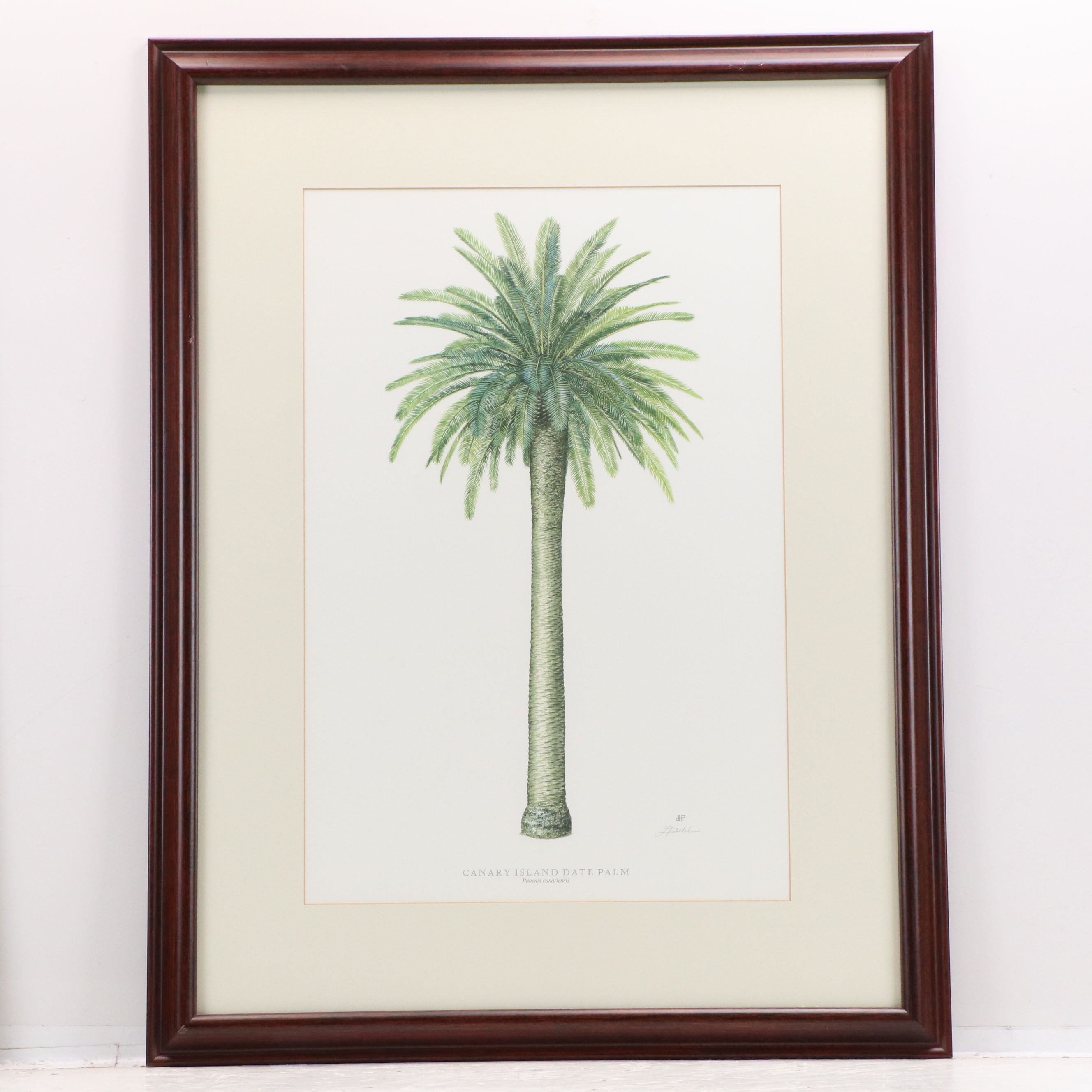 Diane Peebles Offset Lithographs "Canary Island Date Palm" and More