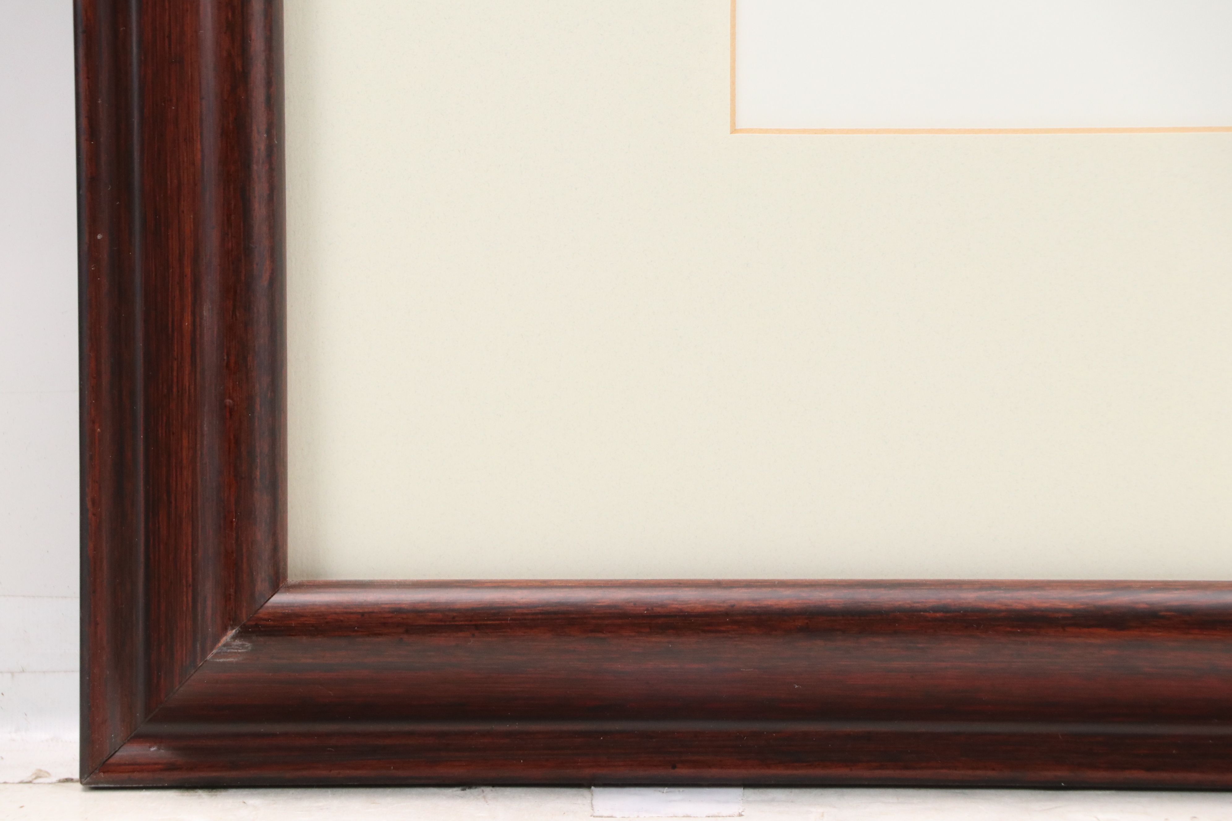 Diane Peebles Offset Lithographs "Canary Island Date Palm" and More