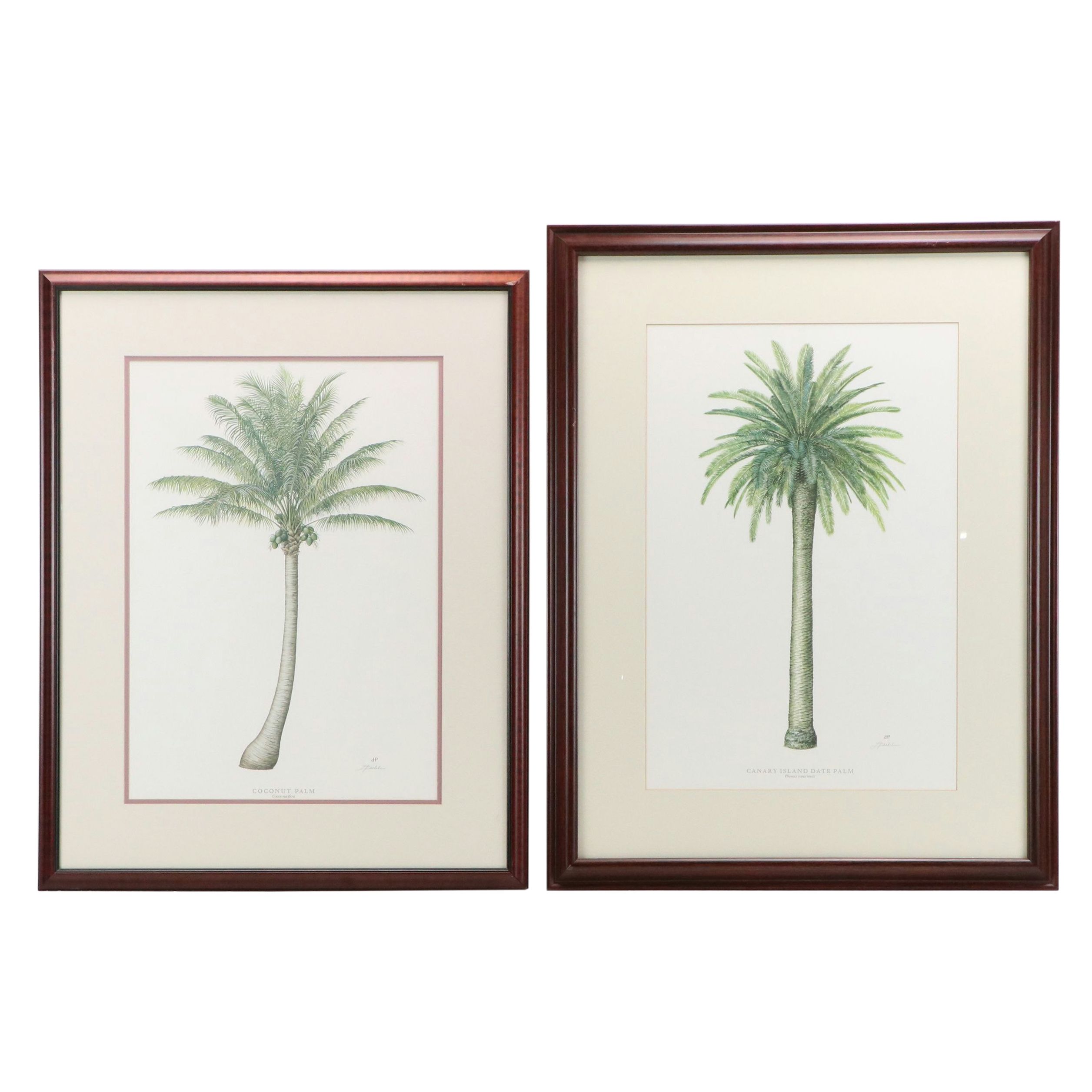 Diane Peebles Offset Lithographs "Canary Island Date Palm" and More