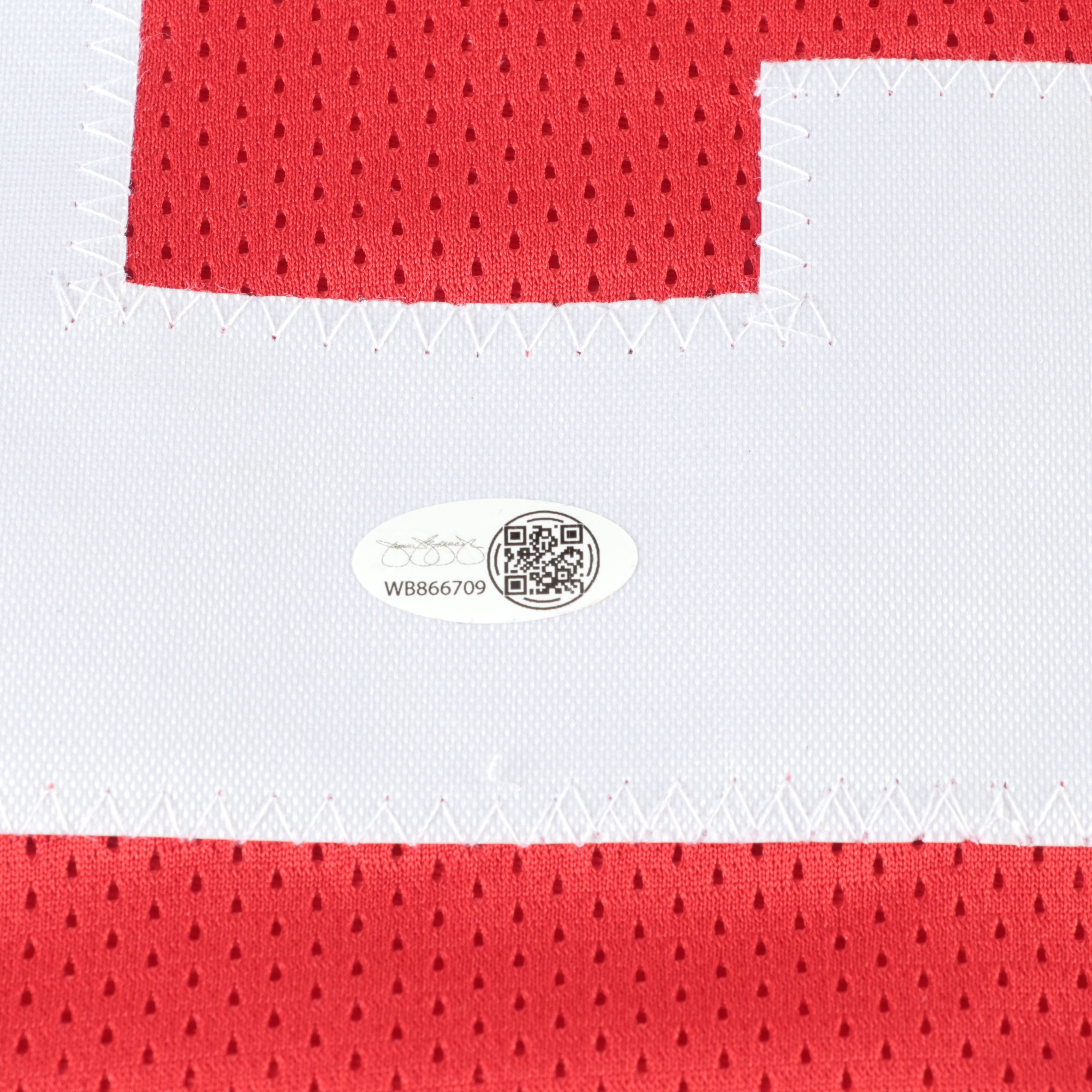 Frank Gore Signed San Francisco 49ers Football Jersey, JSA