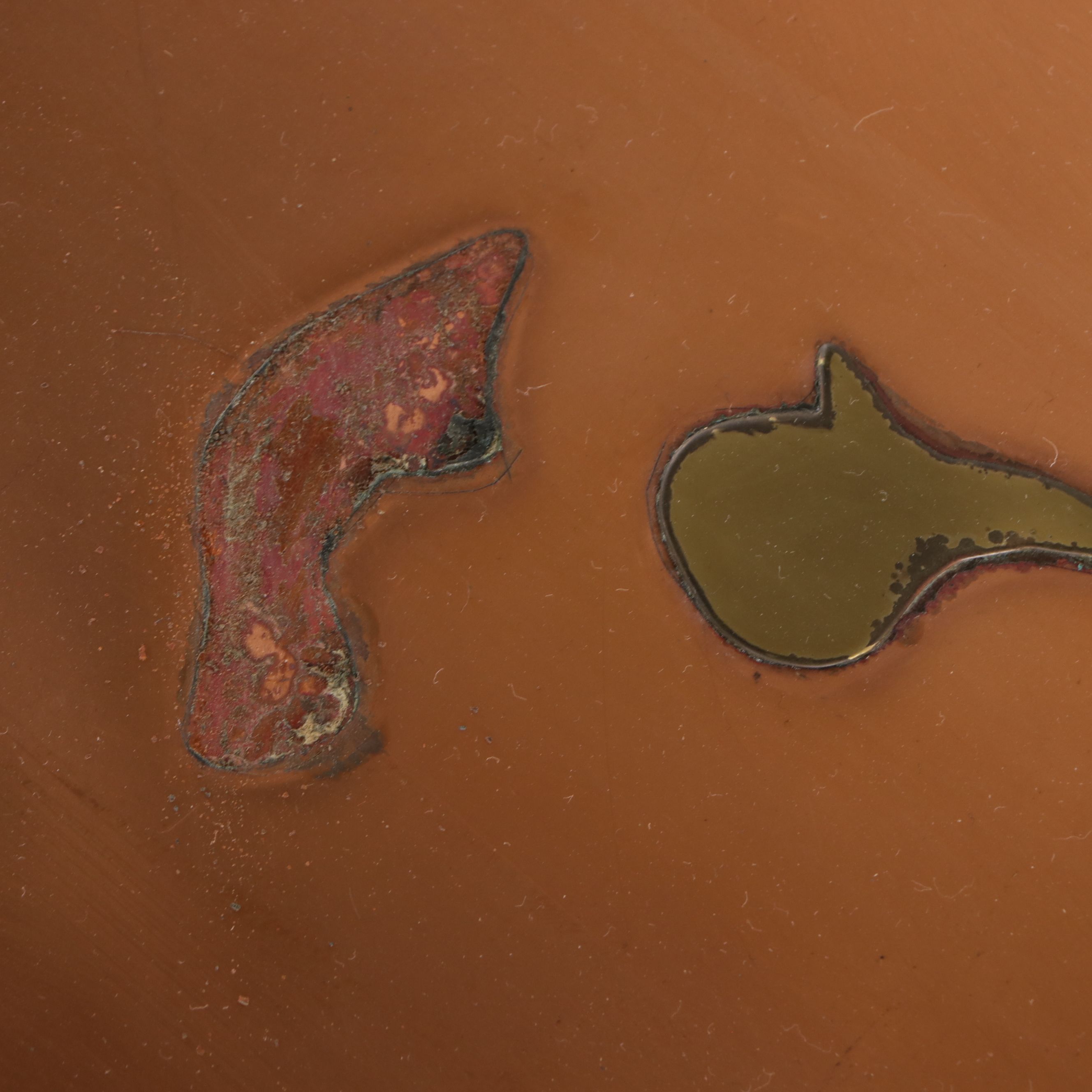 Monumental Sun Banks, Inc. Handcrafted Copper and Brass Florida State Wall Décor