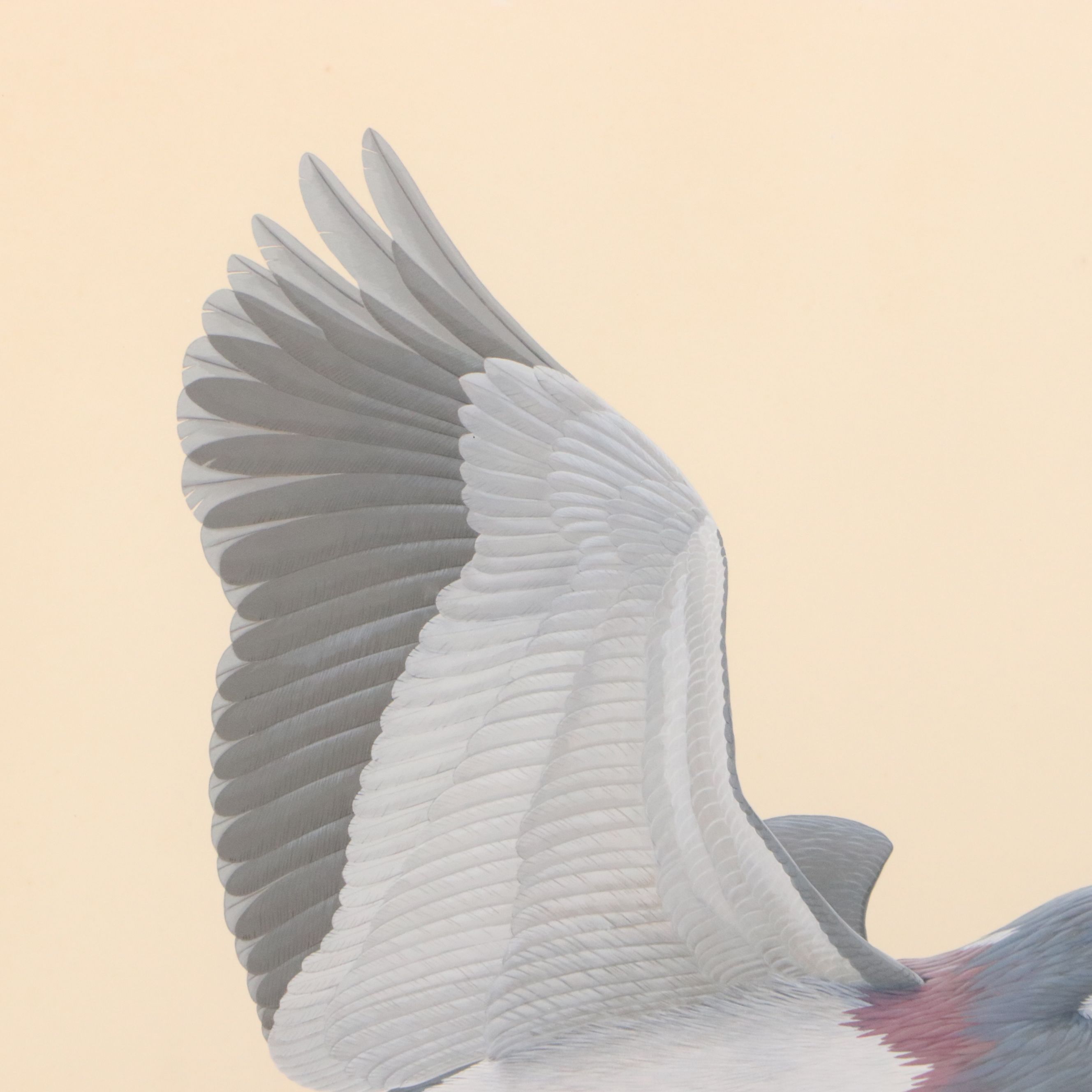 Lucien Harris III Ornithological Gouache Painting of Heron