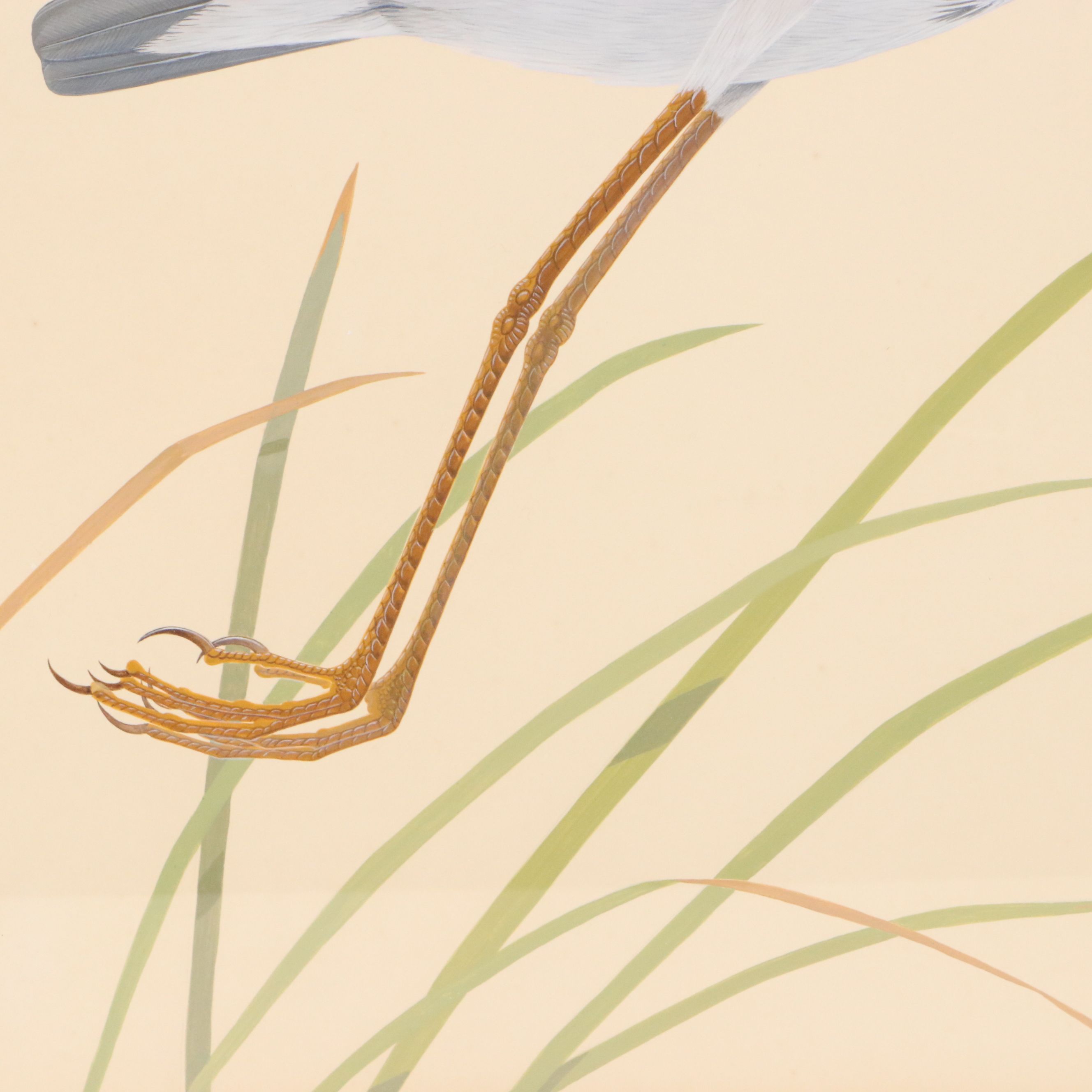 Lucien Harris III Ornithological Gouache Painting of Heron