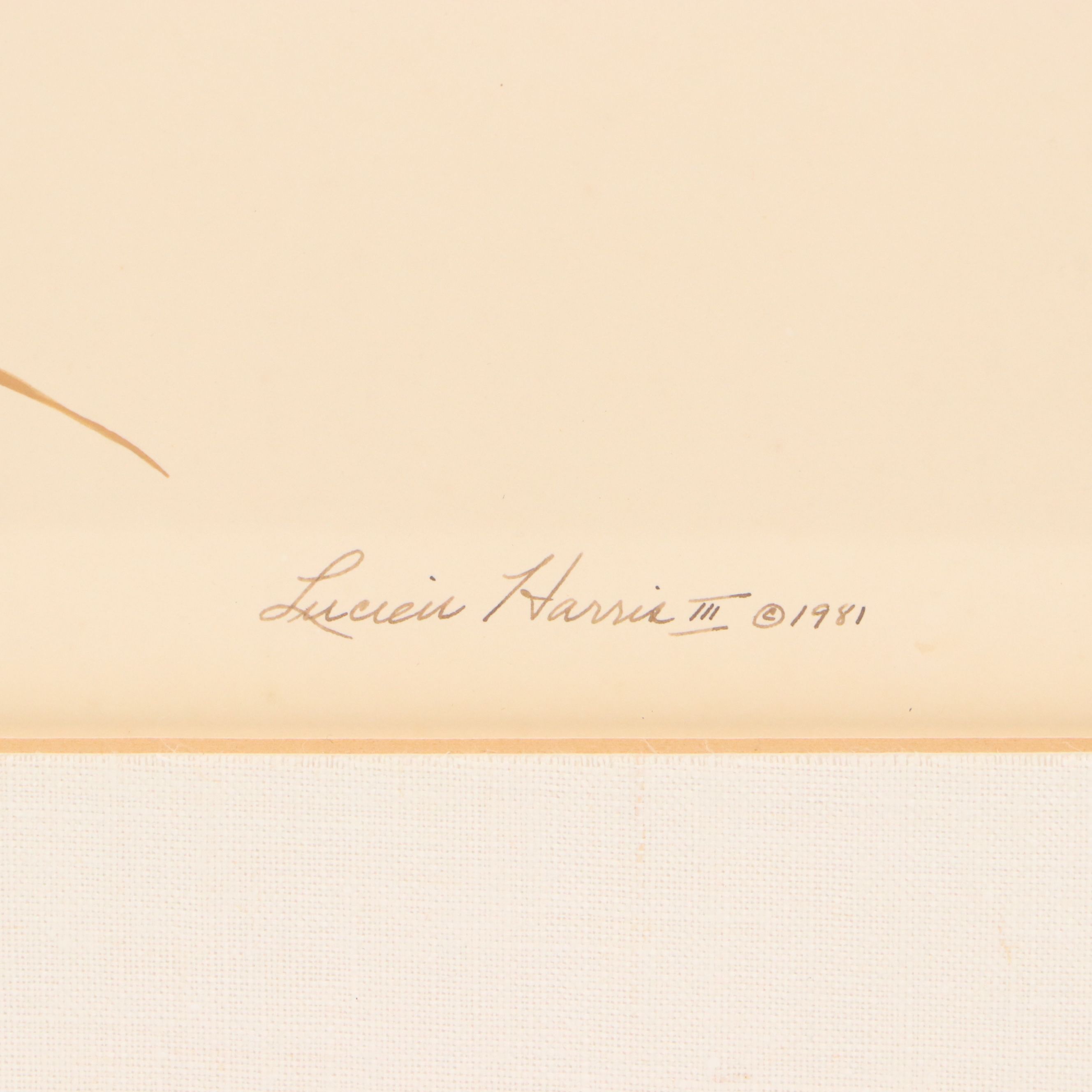 Lucien Harris III Ornithological Gouache Painting of Heron