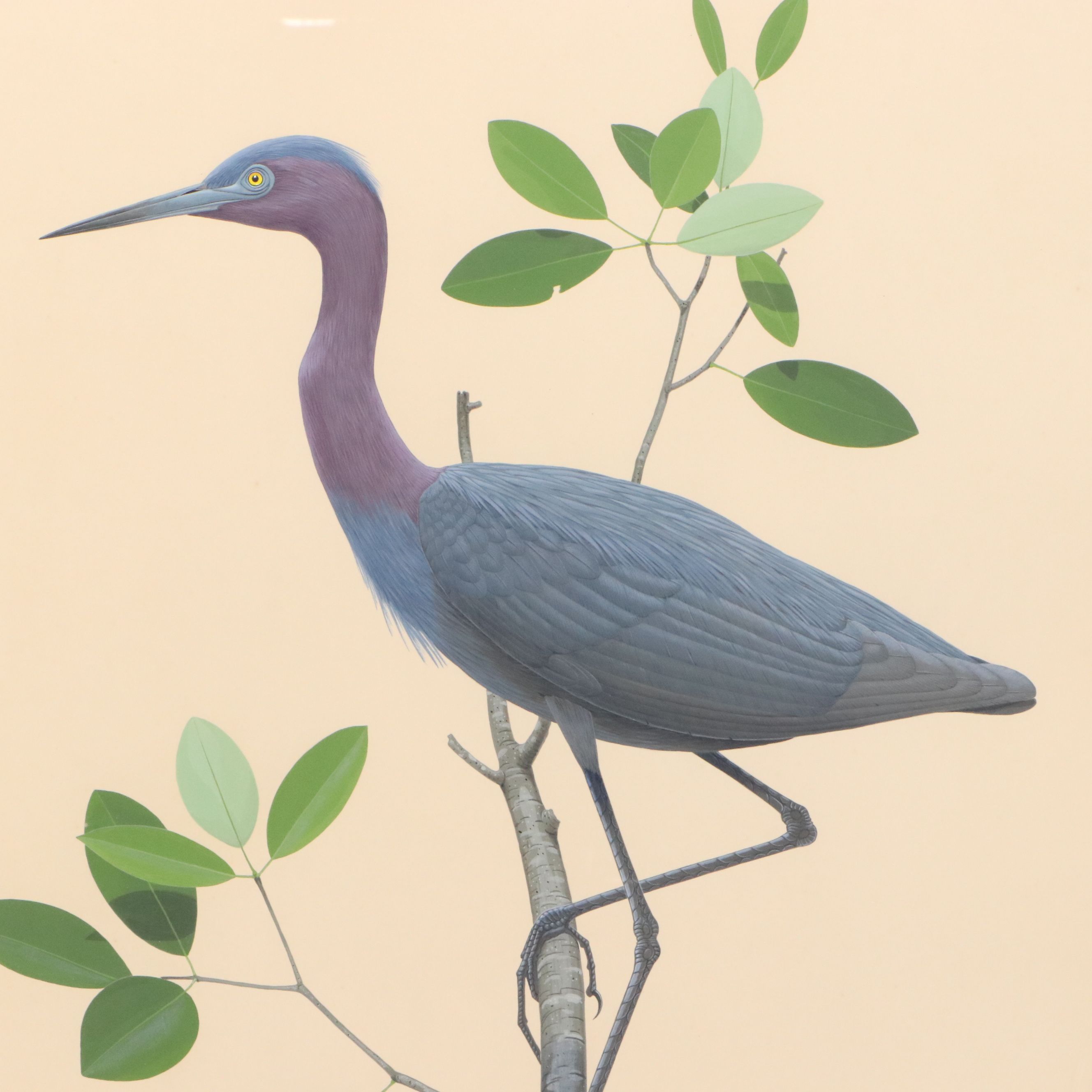 Lucien Harris III Ornithological Gouache Painting of Blue Heron