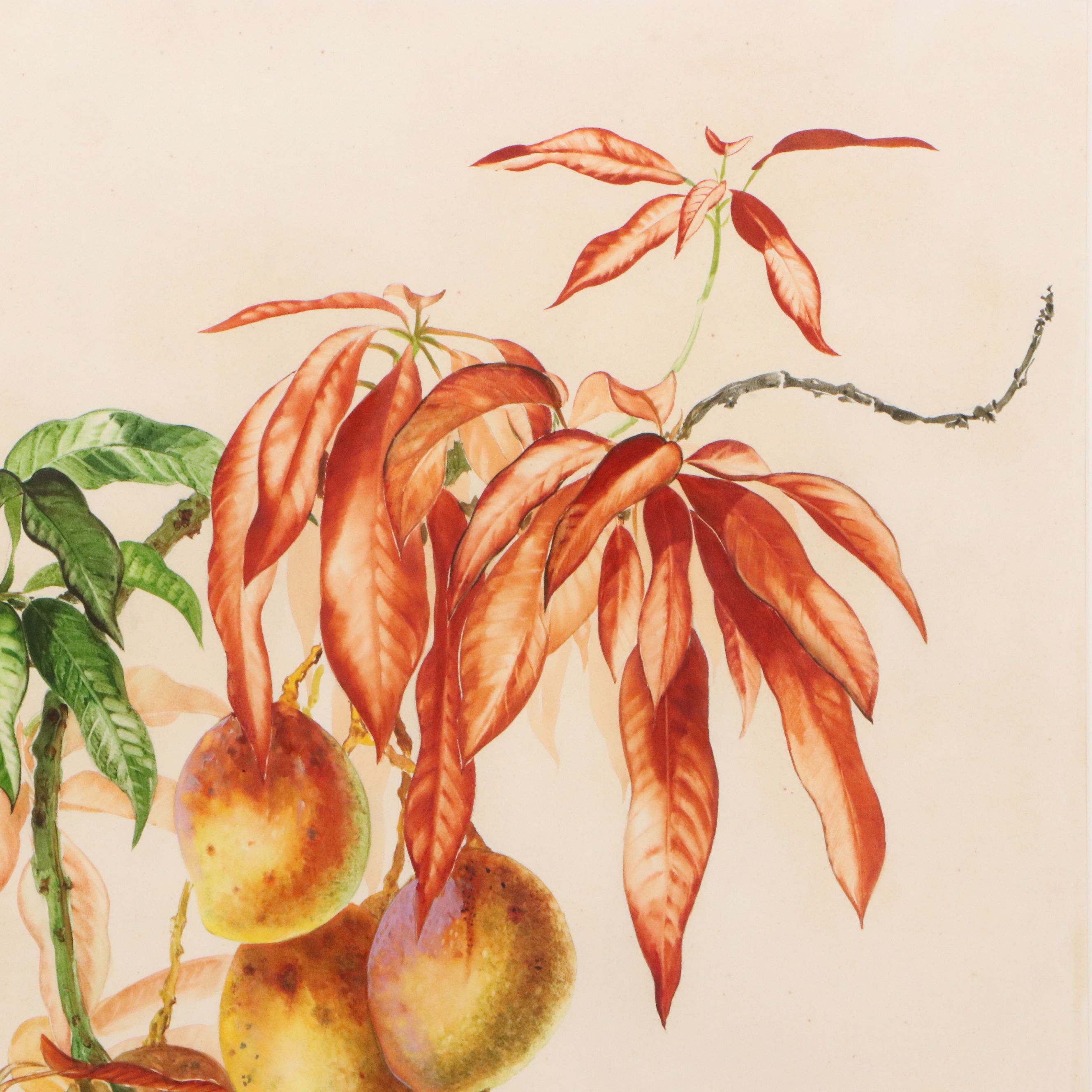 Lee Adams Botanical Watercolor Paintings