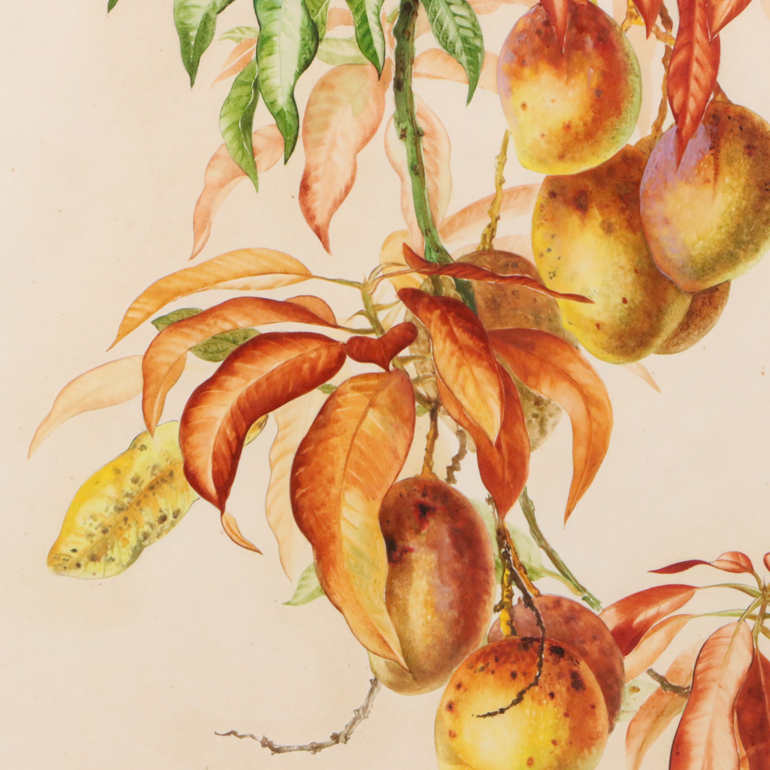 Lee Adams Botanical Watercolor Paintings