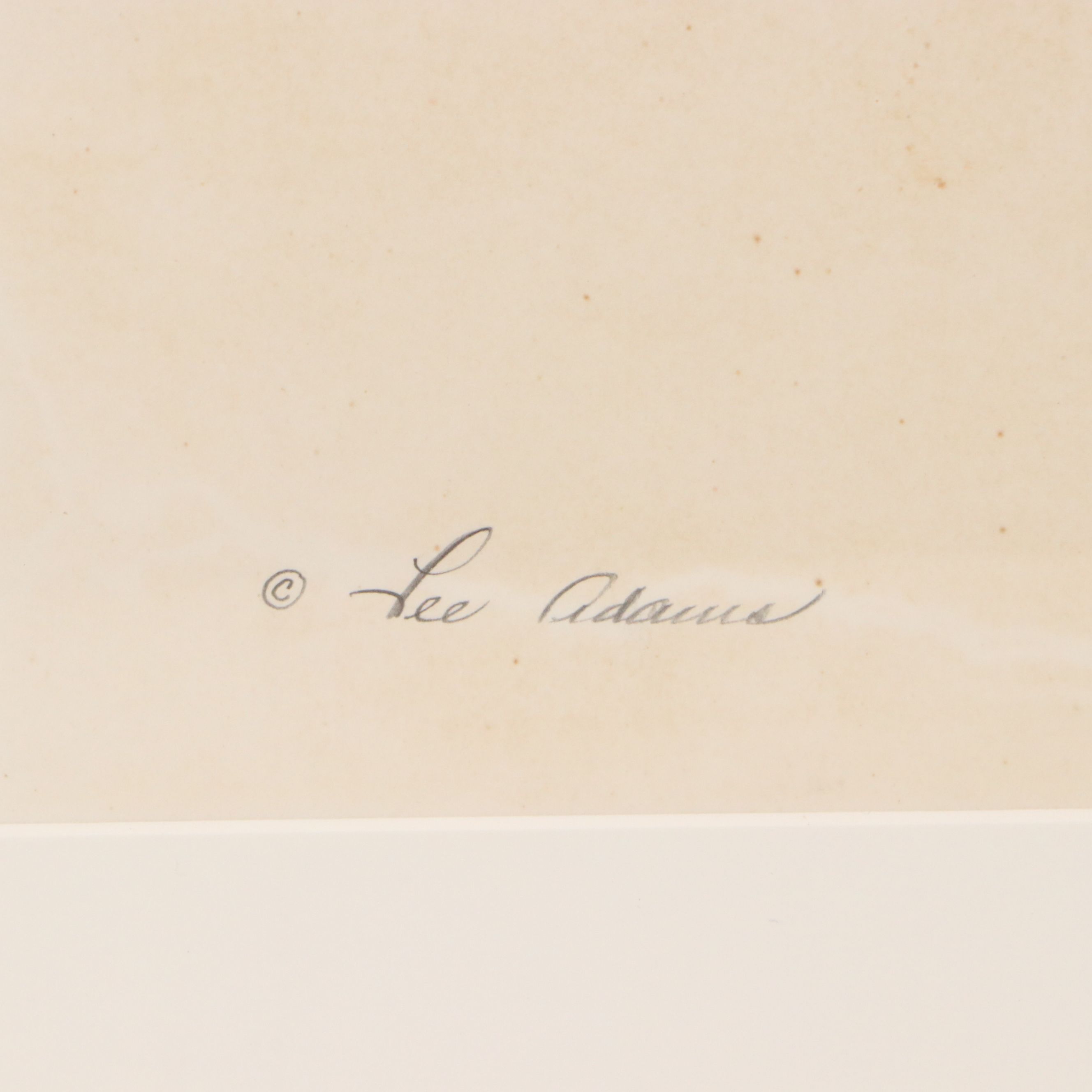 Lee Adams Botanical Watercolor Paintings