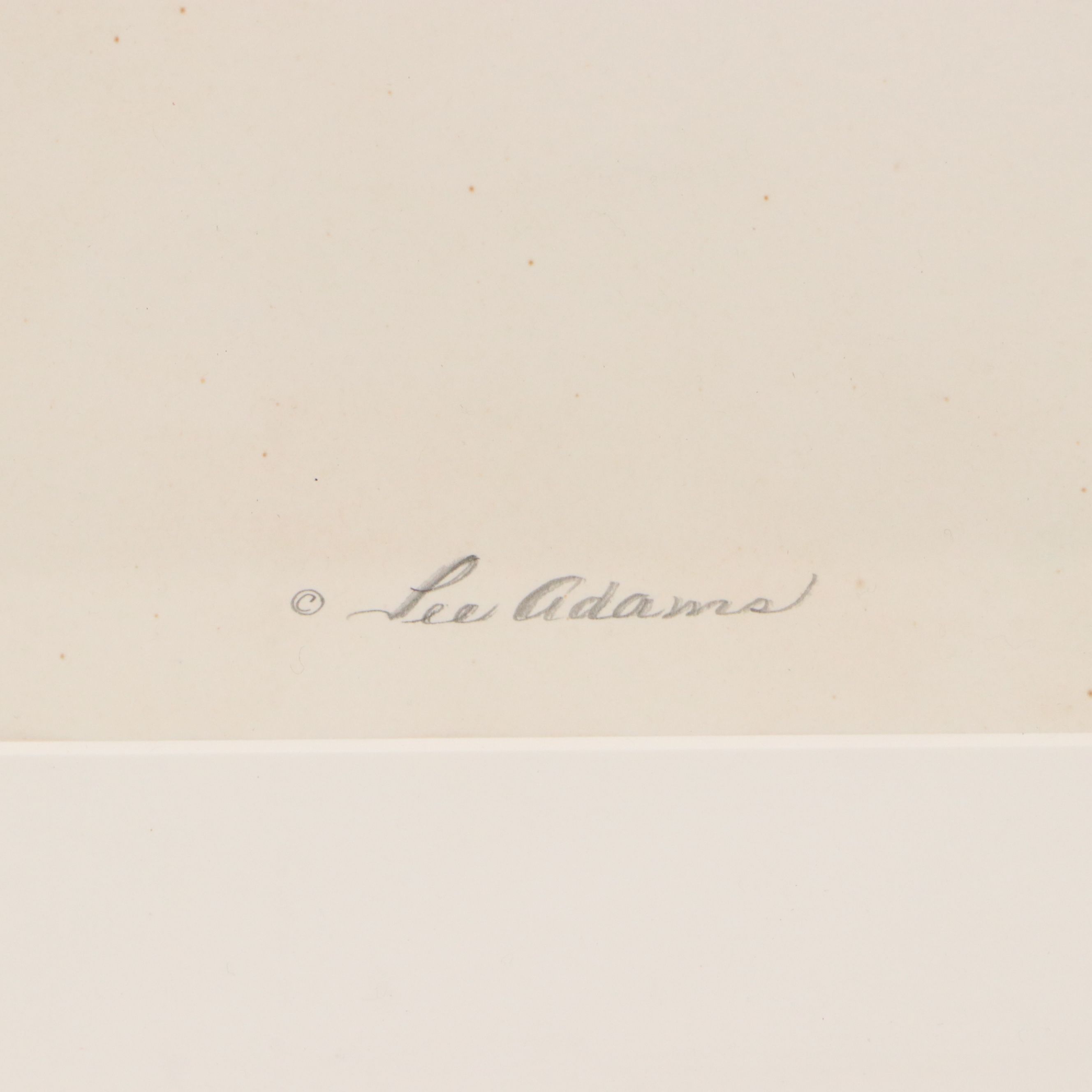 Lee Adams Botanical Watercolor Paintings