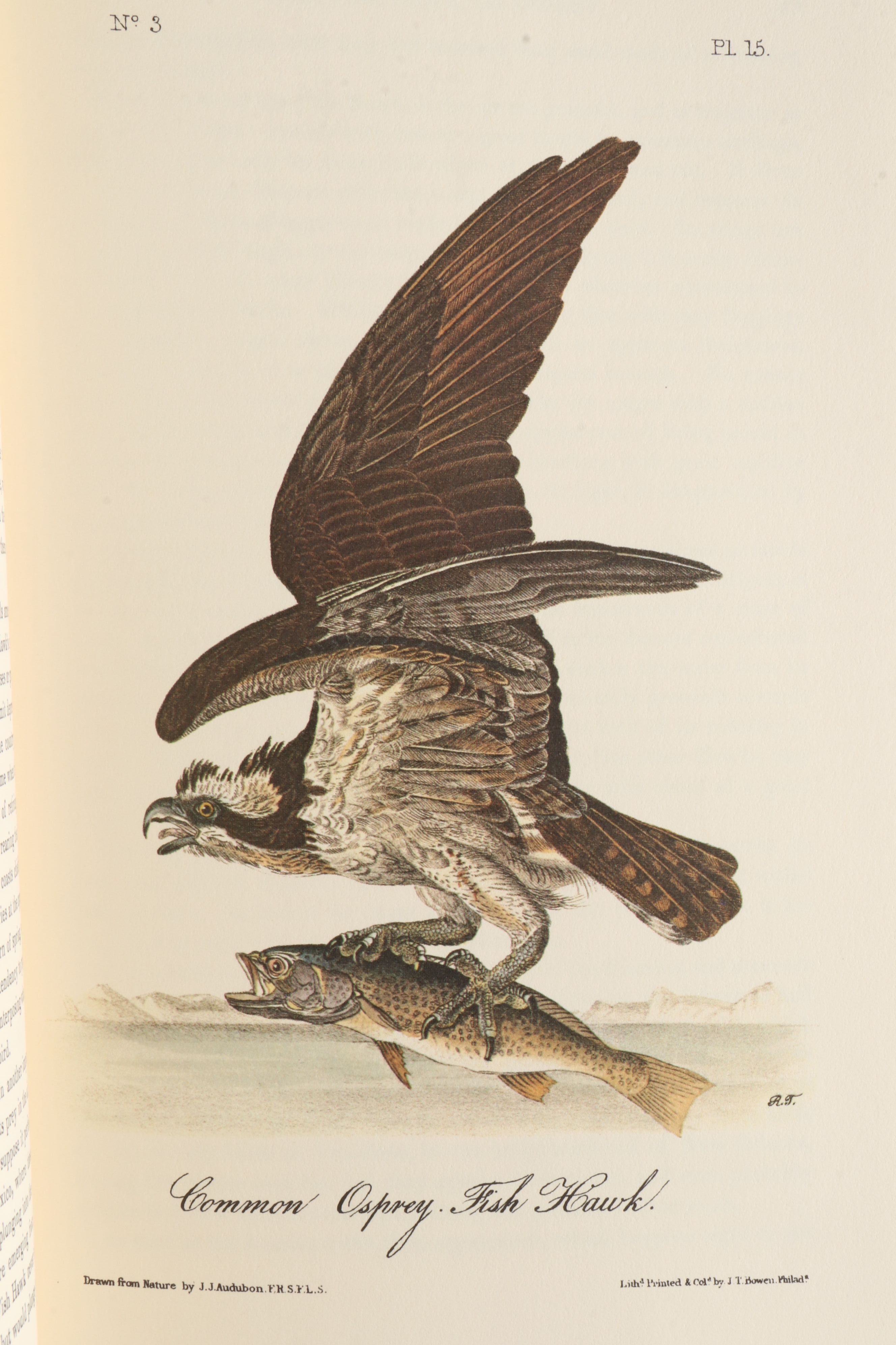Limited Edition "Birds of America" and "Quadrupeds of North America" by Audubon
