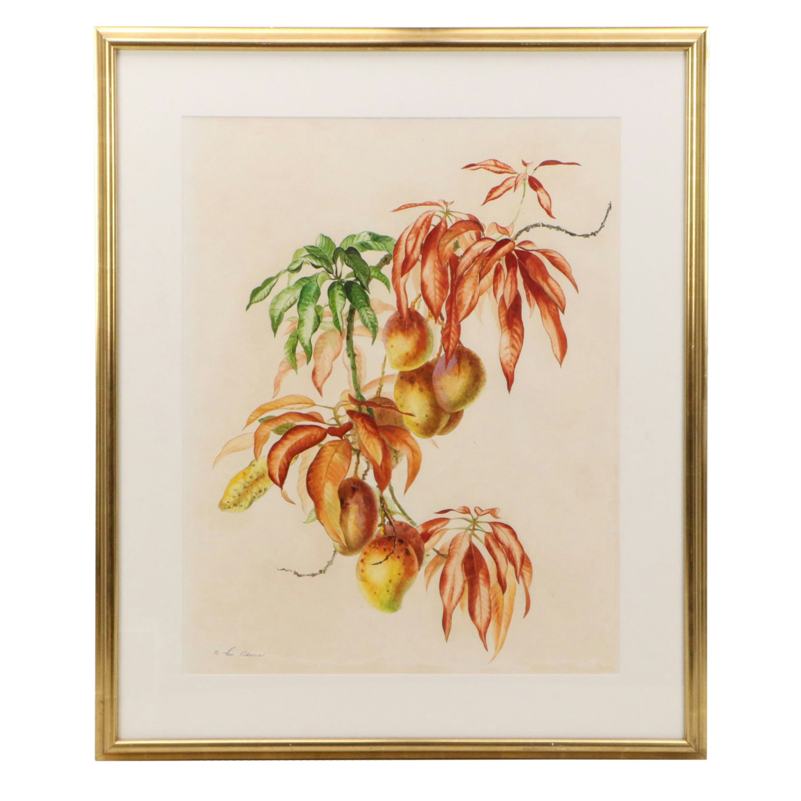 Lee Adams Botanical Watercolor Paintings