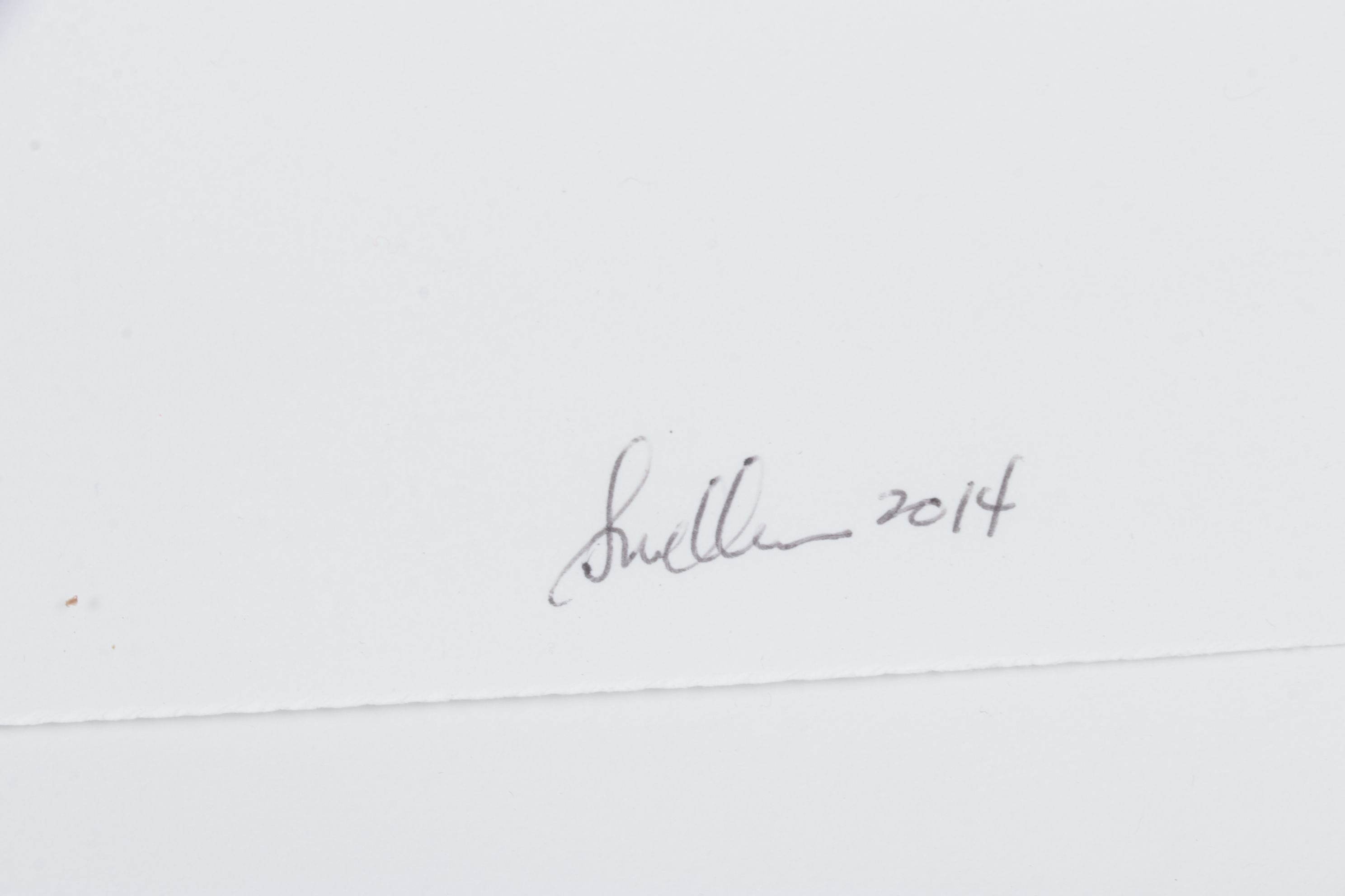 Zentangle Style Ink Drawing of Abstract Organic Structure, 2014